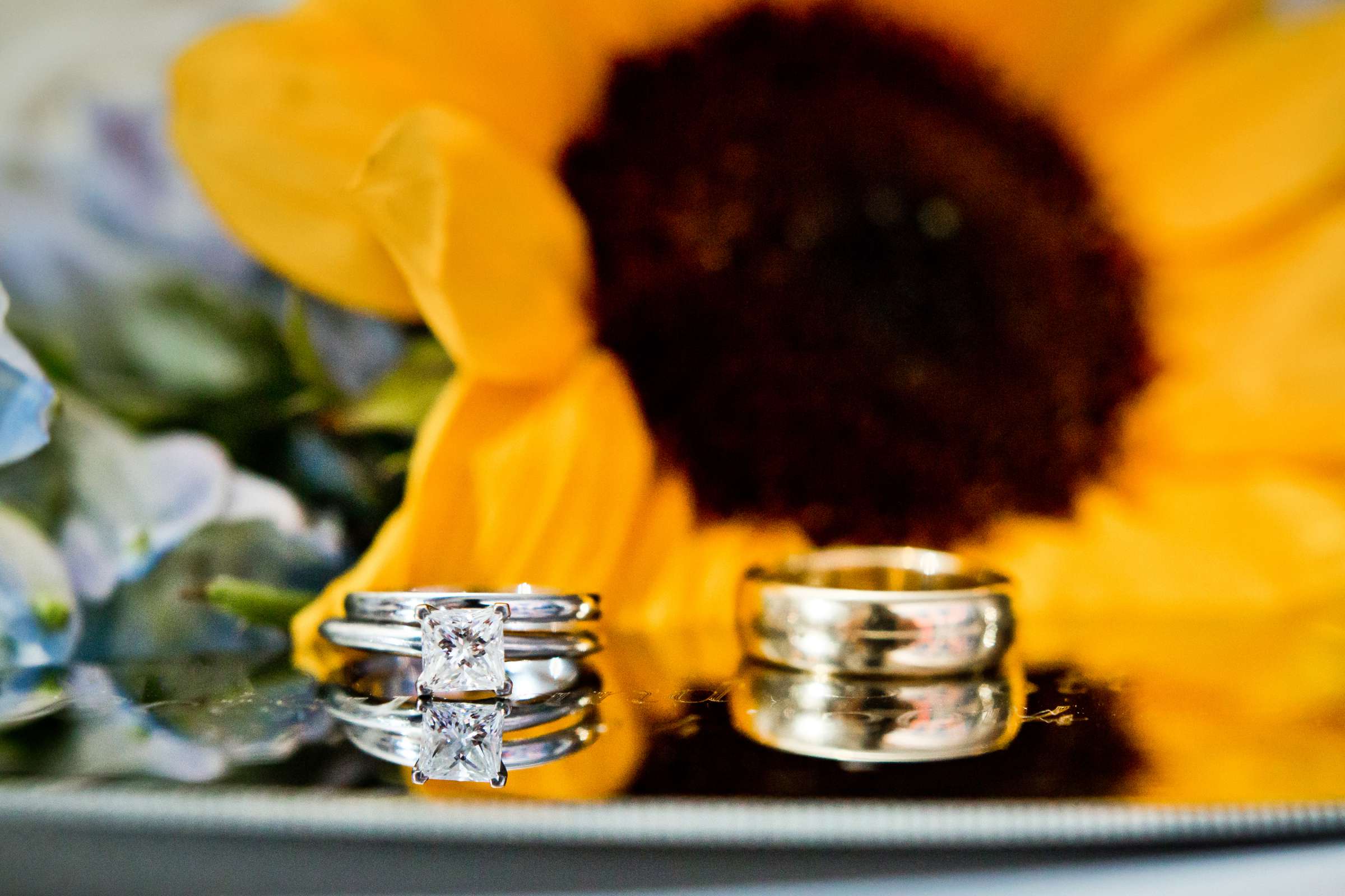 San Diego Rowing Club | The Garty Pavilion Wedding coordinated by The Best Wedding For You, Betsy and Scott Wedding Photo #119273 by True Photography