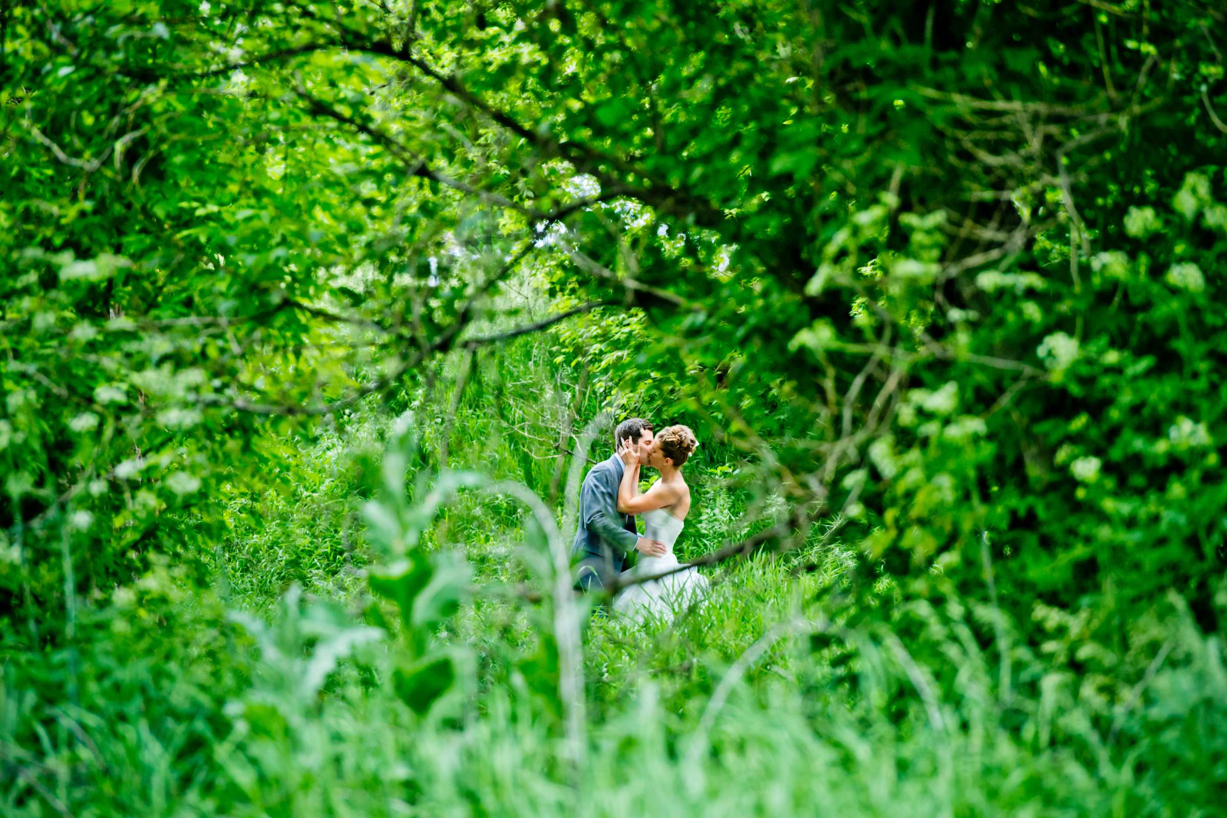 Denver Botanic Gardens at Chatfield Wedding coordinated by Revel and Bloom, Sandra and Craig Wedding Photo #11 by True Photography