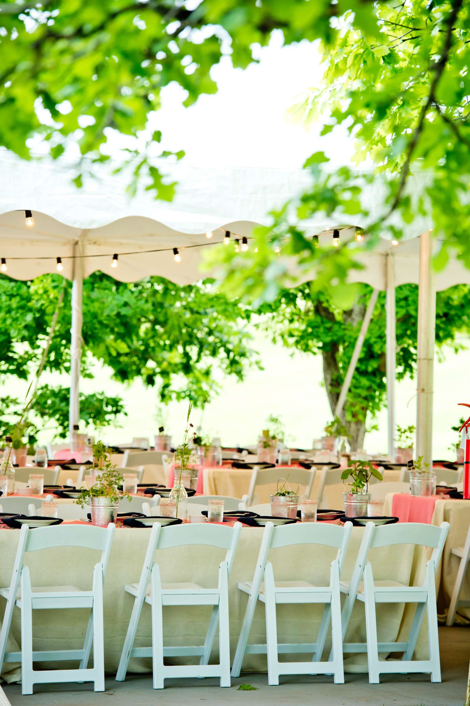 Denver Botanic Gardens at Chatfield Wedding coordinated by Revel and Bloom, Sandra and Craig Wedding Photo #75 by True Photography