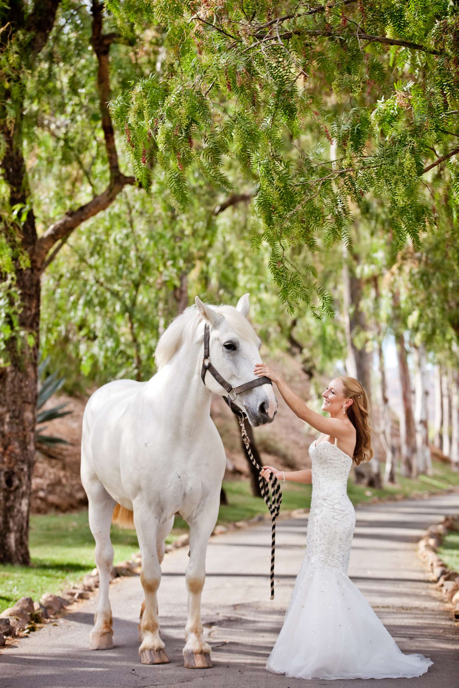 The Ranch at Bandy Canyon Wedding, Amy and Bryan Wedding Photo #3 by True Photography