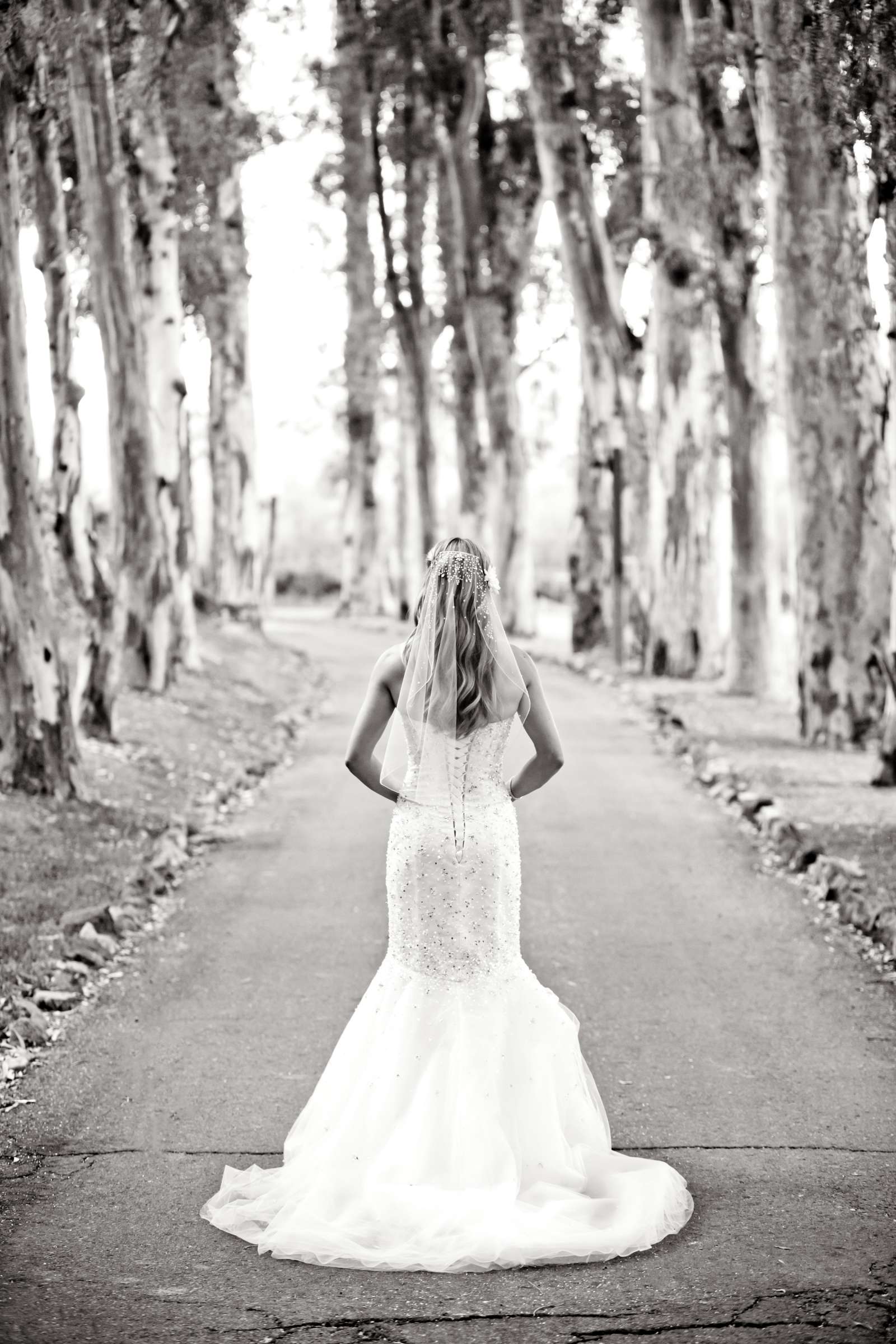 The Ranch at Bandy Canyon Wedding, Amy and Bryan Wedding Photo #23 by True Photography