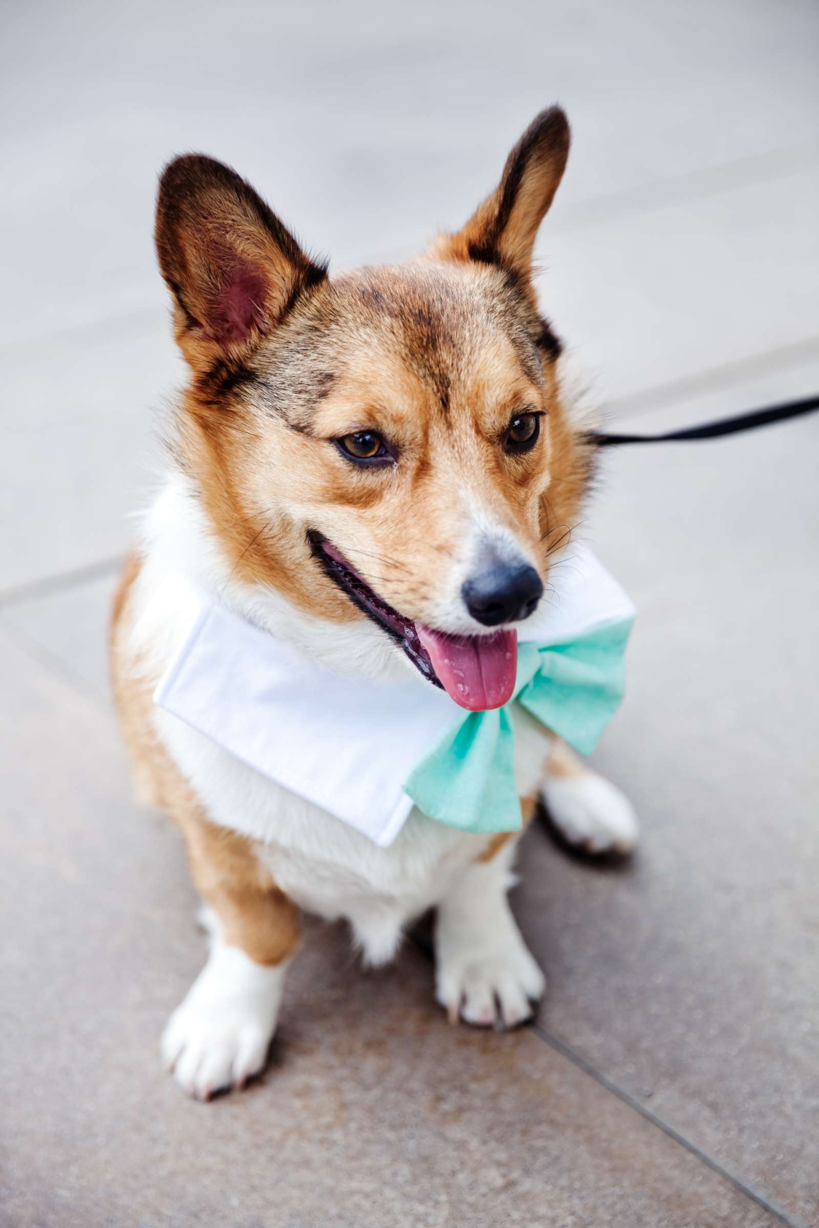 Scripps Seaside Forum Wedding, Laura and Daniel Wedding Photo #9 by True Photography