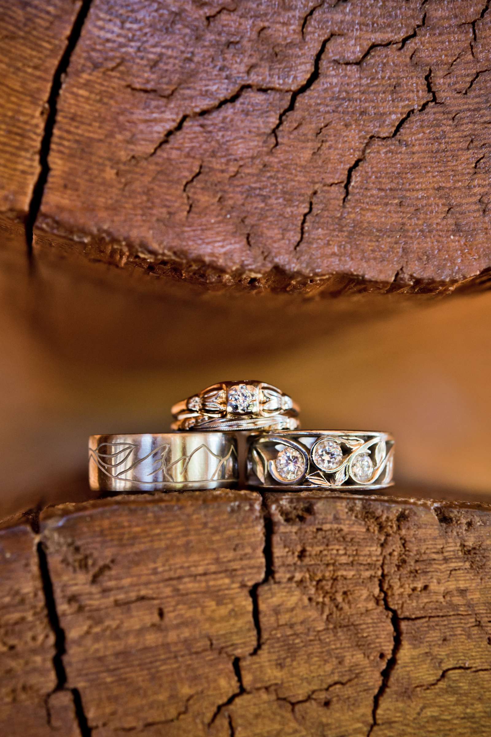 Rings at The Evergreen Lake House Wedding coordinated by A Touch Of Bliss, Kristi and Raman Wedding Photo #6 by True Photography