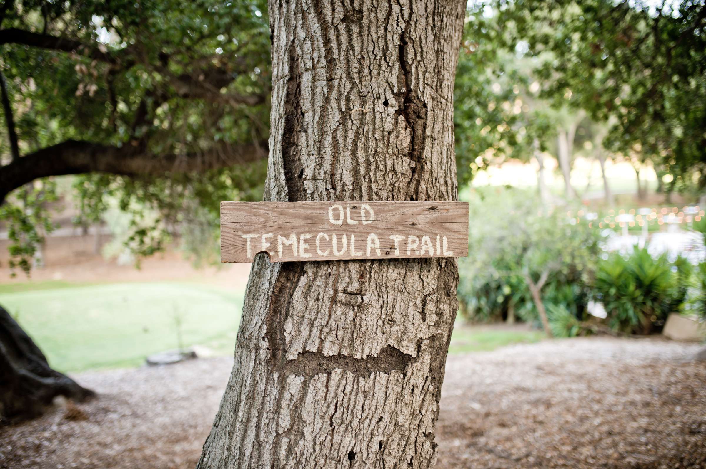 Details at Temecula Creek Inn Wedding coordinated by LexxEvents, Mariah and Phillip Wedding Photo #50 by True Photography