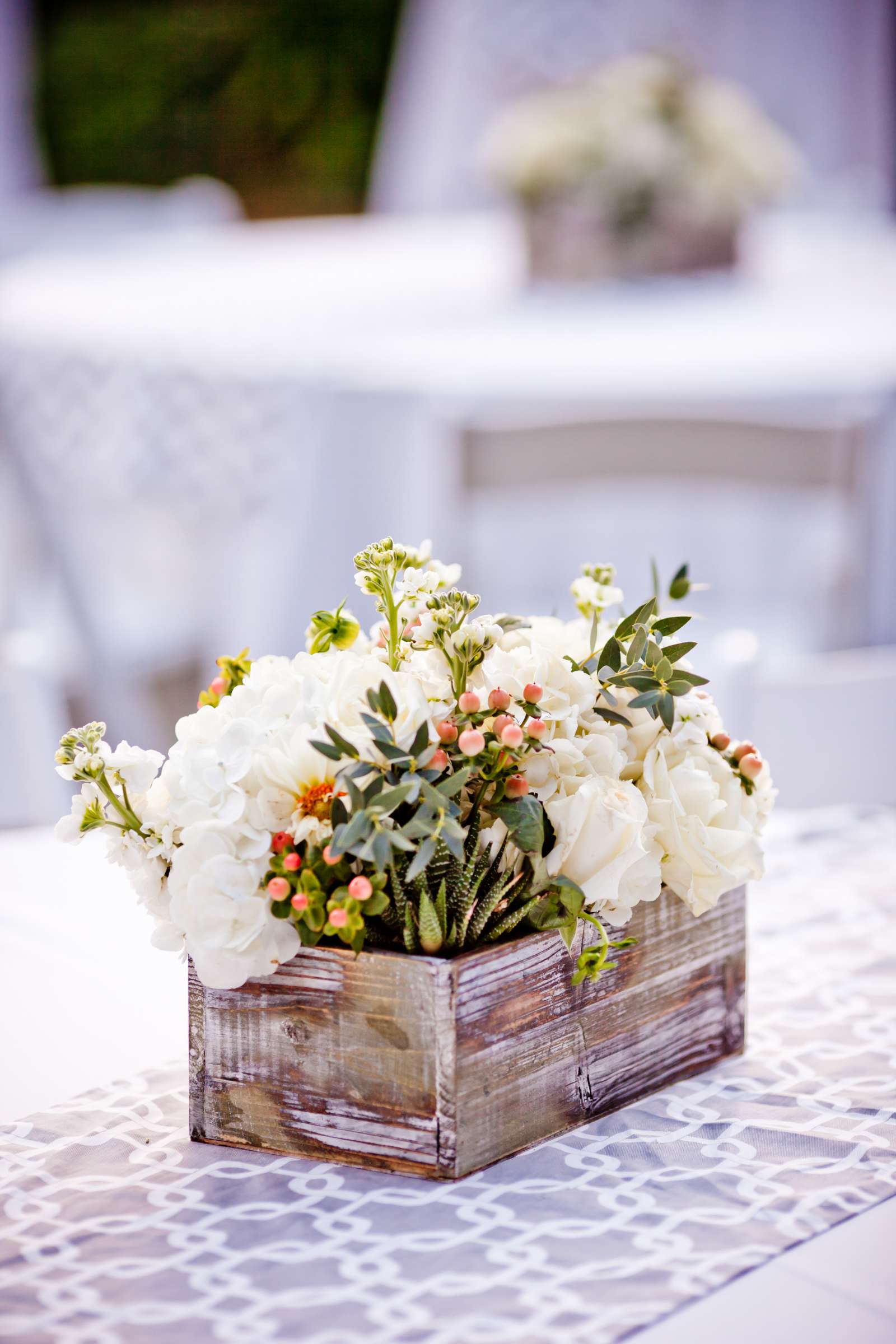 San Diego Botanic Garden Wedding, Lauren and Bryant Wedding Photo #138865 by True Photography