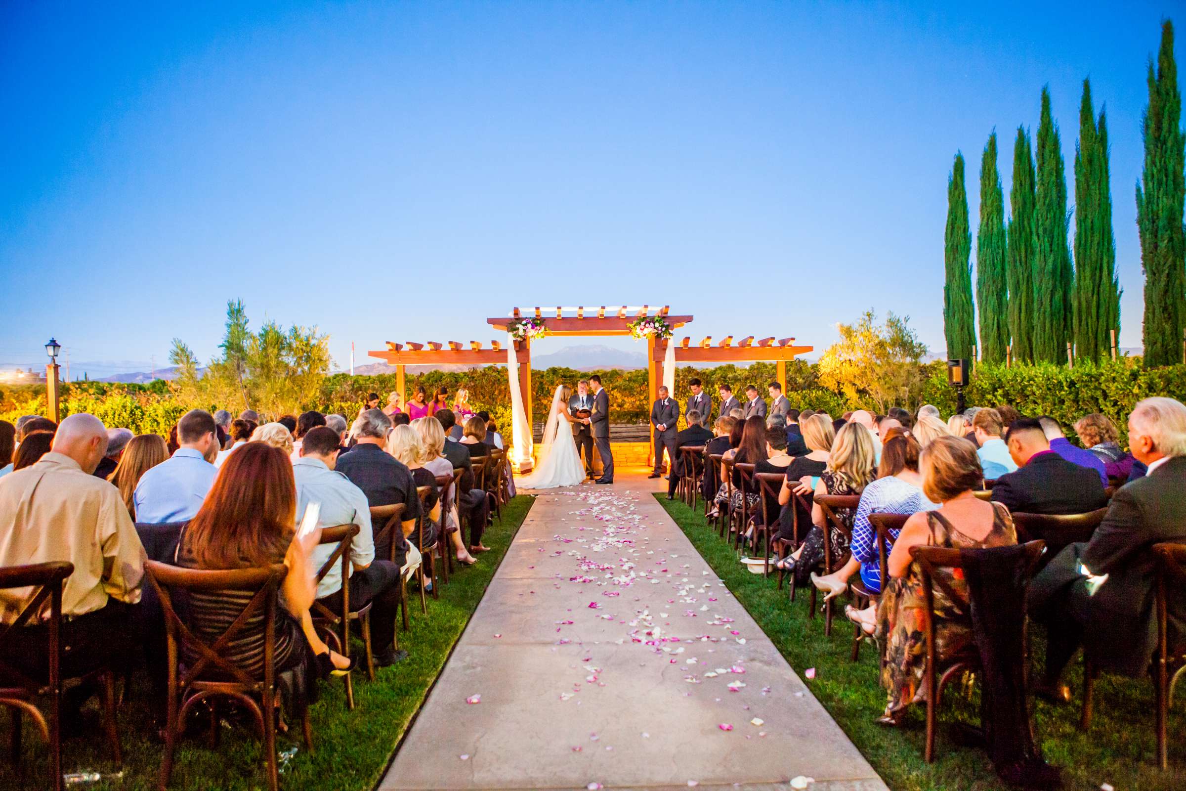 Wiens Family Cellars Wedding, Therese and Ken Wedding Photo #139969 by True Photography