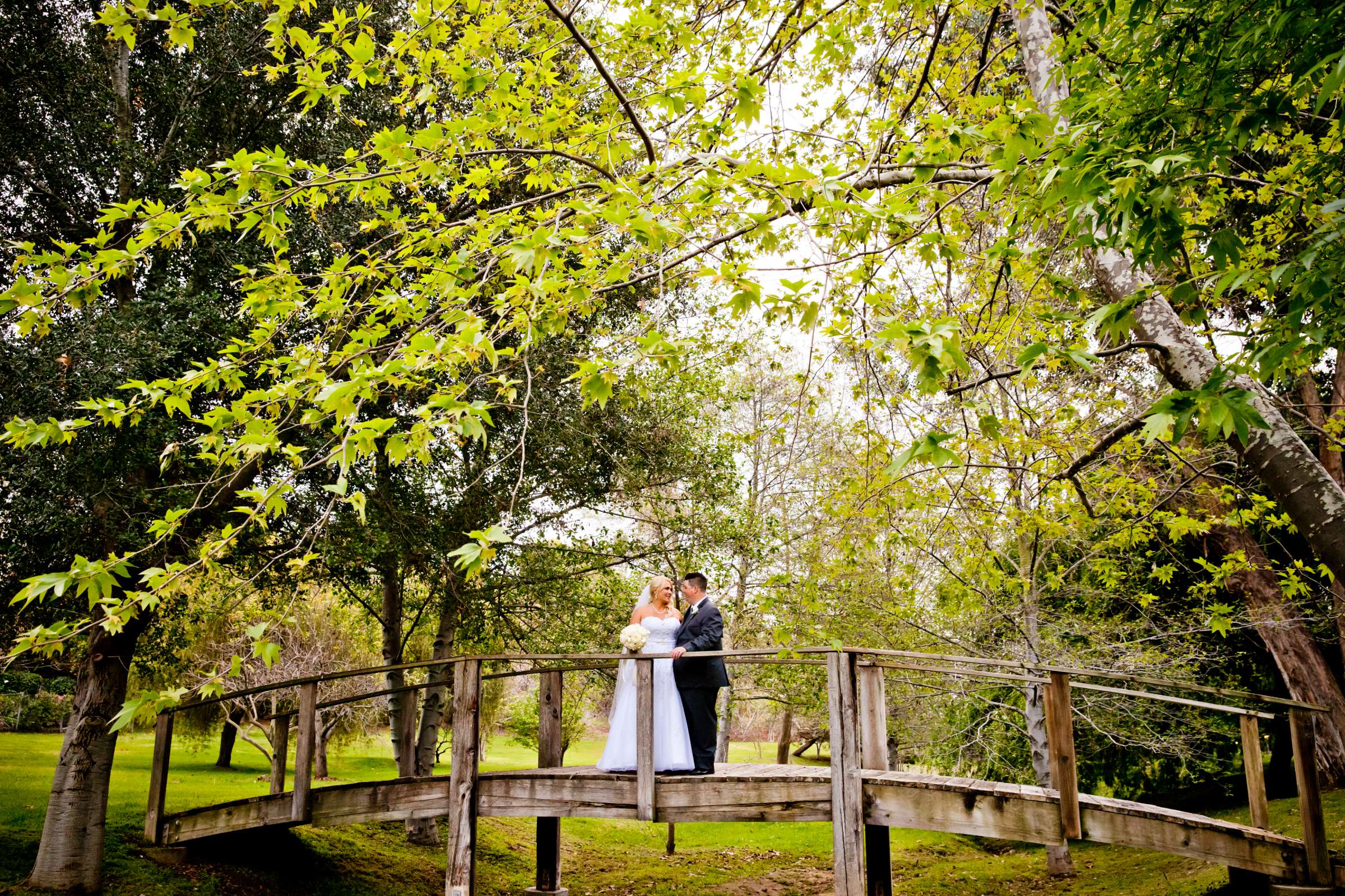 Grand Tradition Estate Wedding coordinated by Cherished weddings and Events, Heather and Bradley Wedding Photo #144148 by True Photography