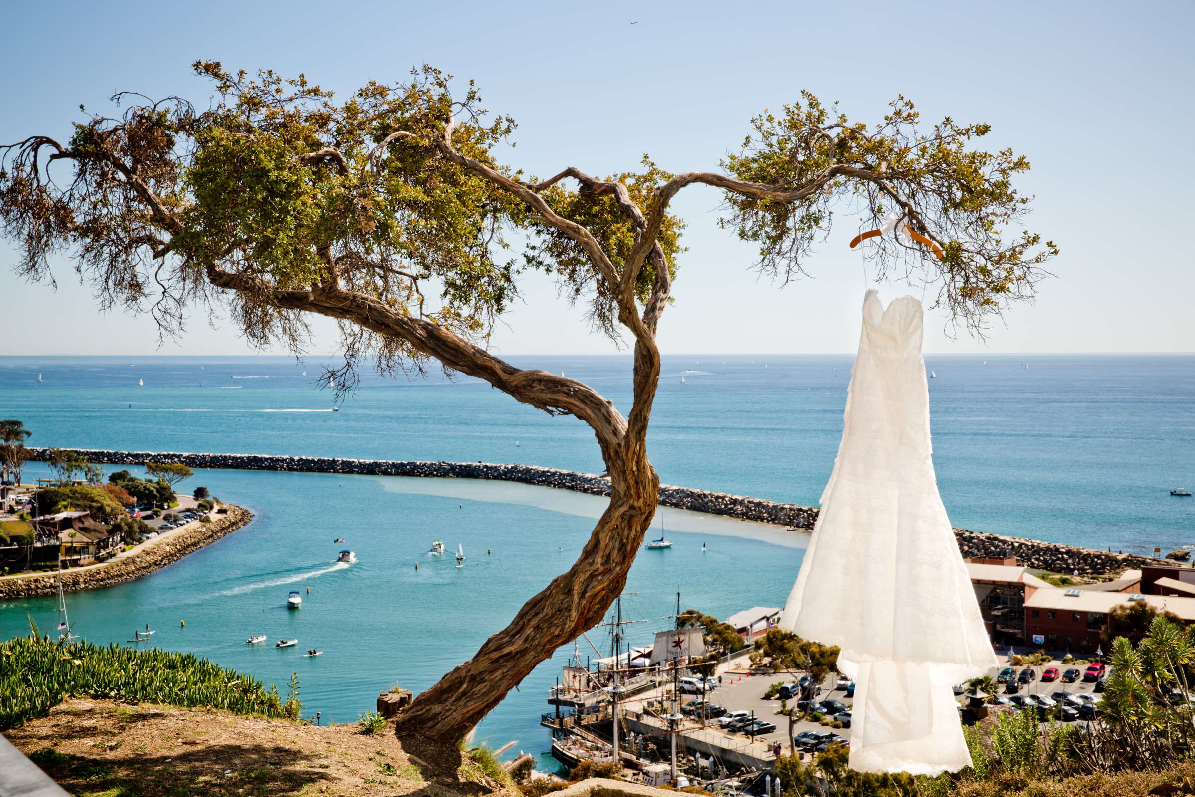 Dana Point Yacht Club Wedding, Cecilia and Ryan Wedding Photo #144561 by True Photography