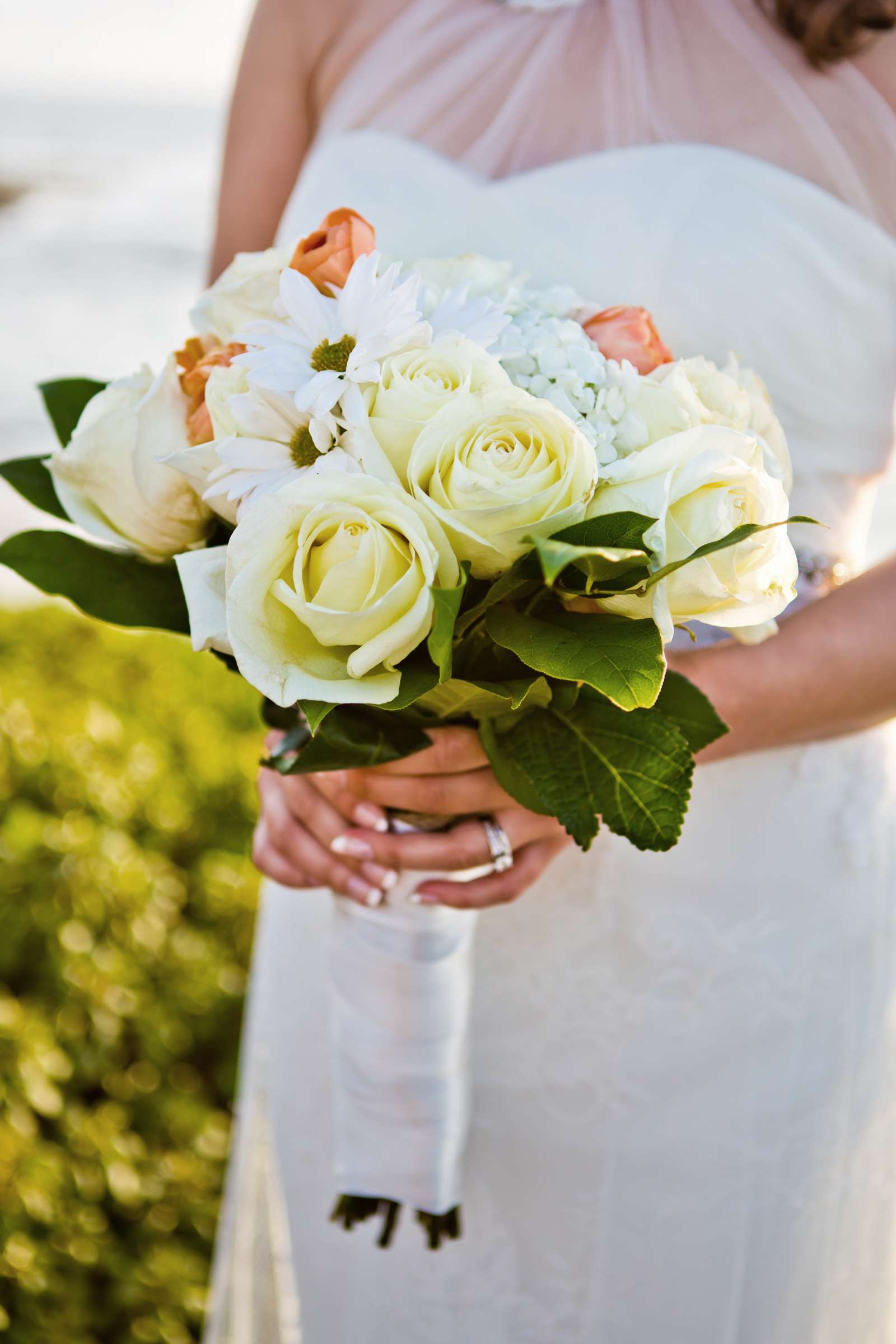 Eddie V's Wedding, Alla and Brandon Wedding Photo #147645 by True Photography