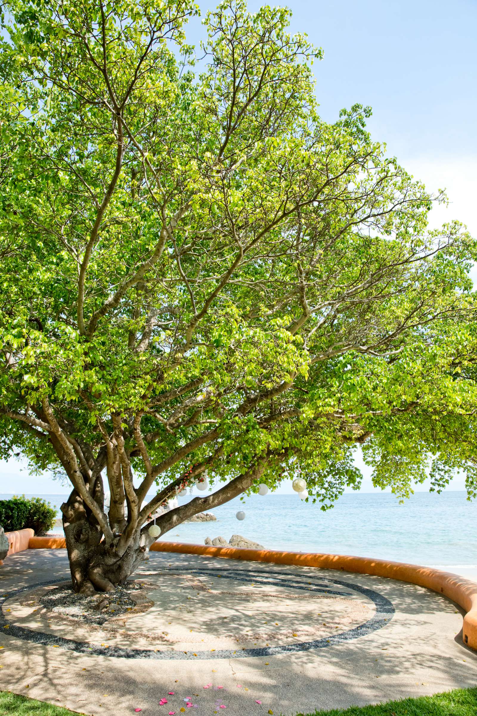 Exclusive Resorts Punta Mita Wedding, Natalie and Dustin Wedding Photo #53 by True Photography