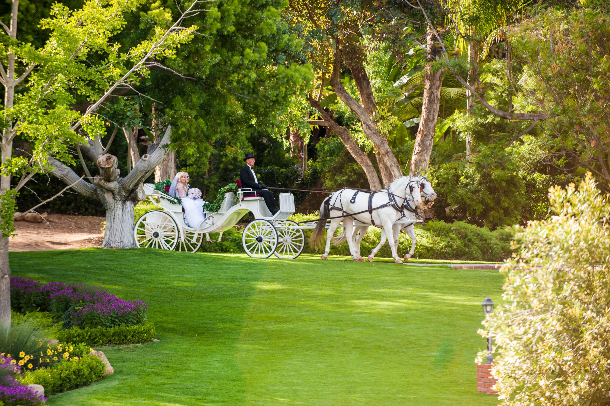 Grand Tradition Estate Wedding, Brittany and Steven Wedding Photo #24 by True Photography