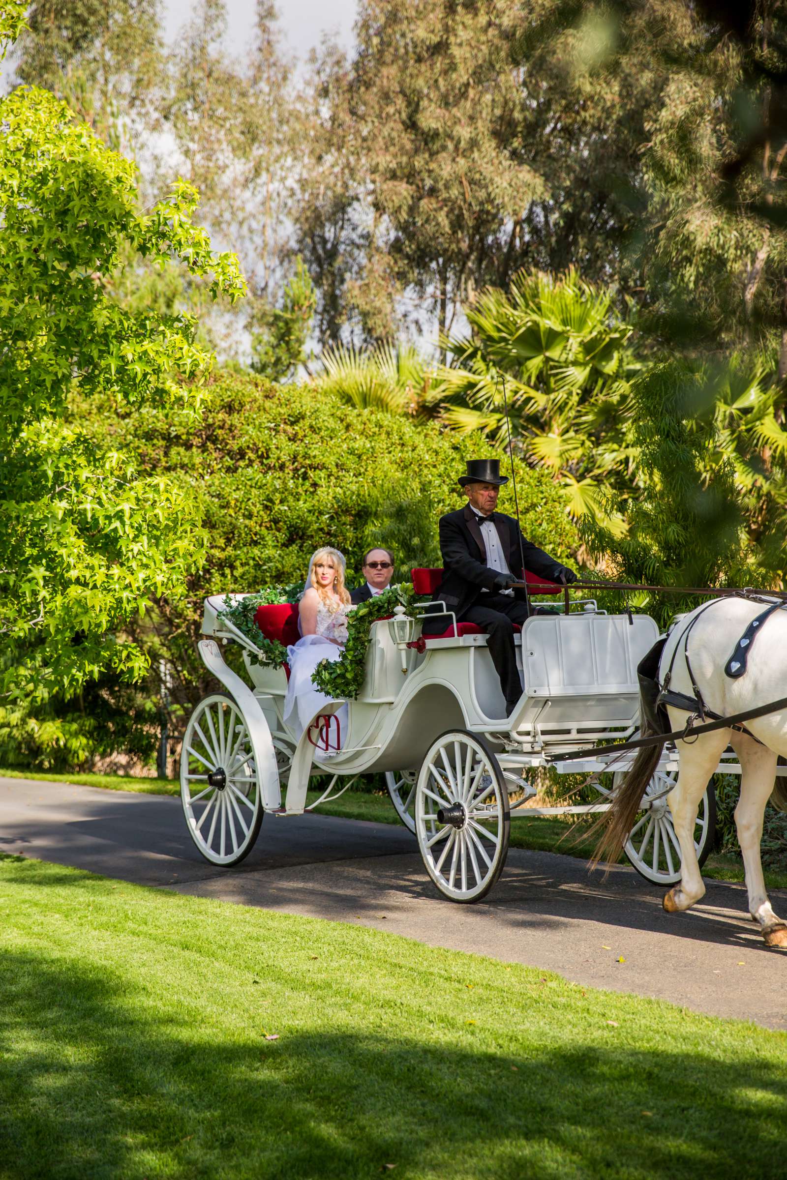 Grand Tradition Estate Wedding, Brittany and Steven Wedding Photo #25 by True Photography