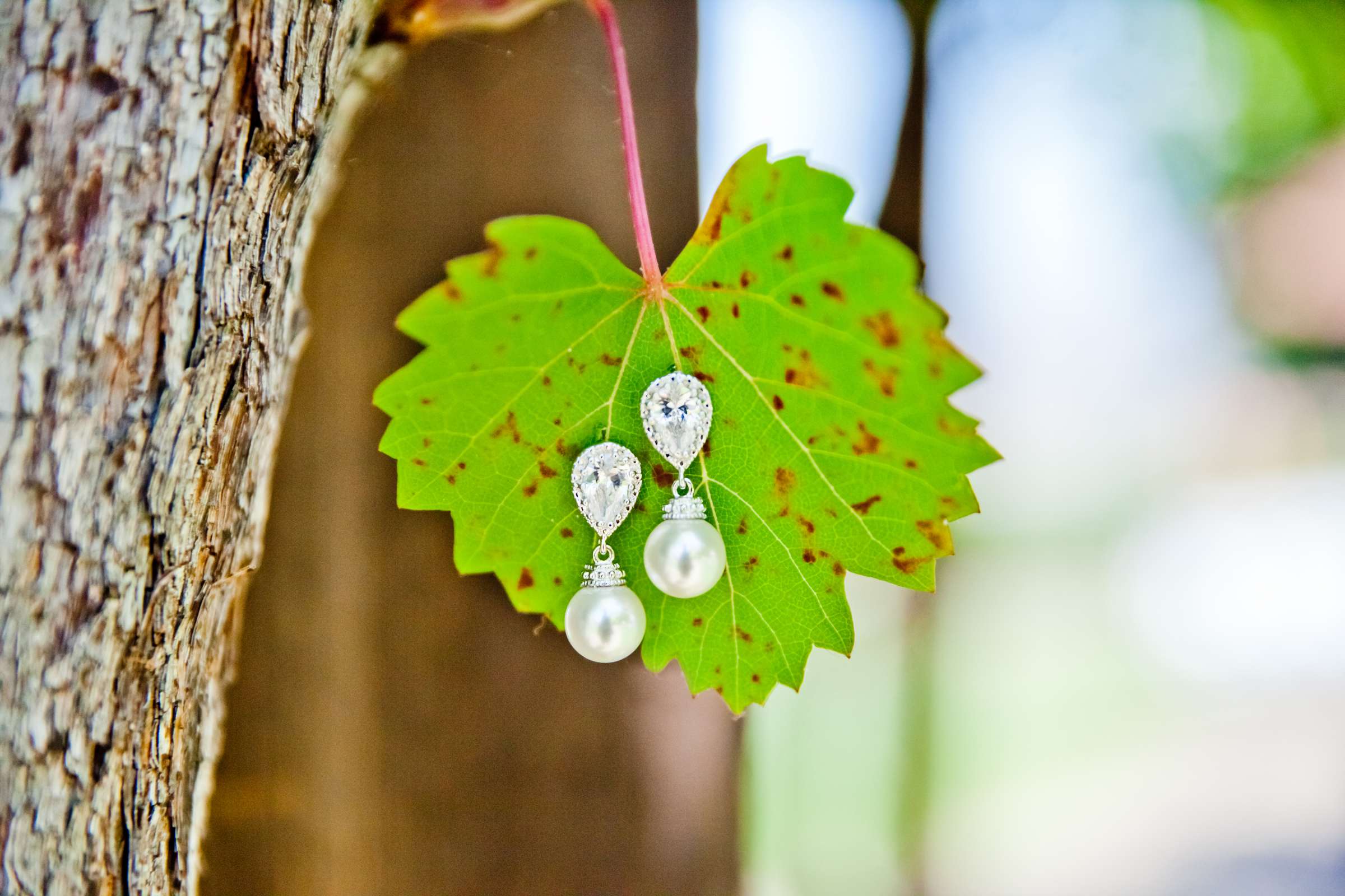 Orfila Vineyards Wedding coordinated by Art of the Party, Natalie and Josh Wedding Photo #17 by True Photography