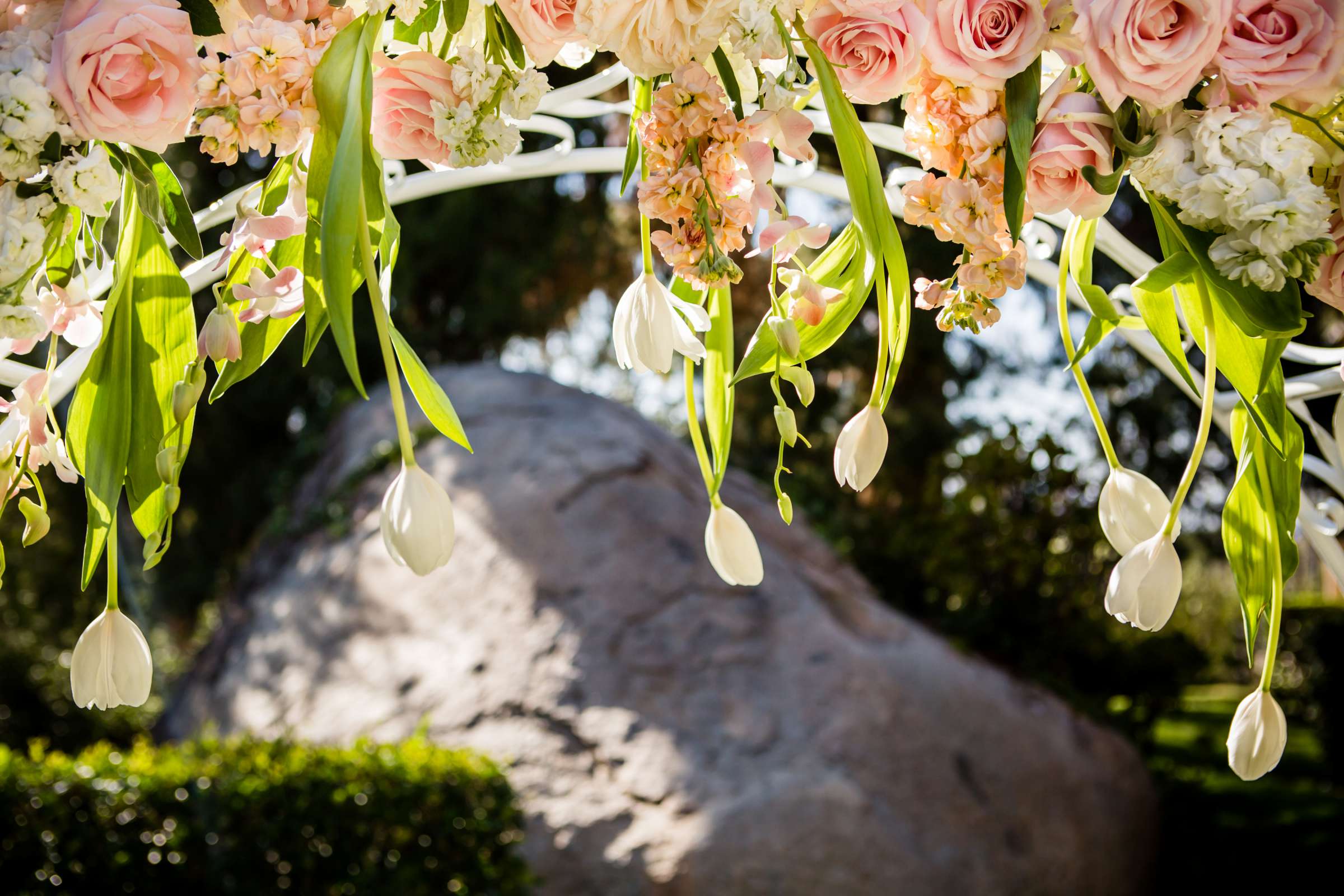 Rancho Bernardo Inn Wedding coordinated by Evelyn Francesca Events & Design, Marcella and Gustavo Wedding Photo #41 by True Photography