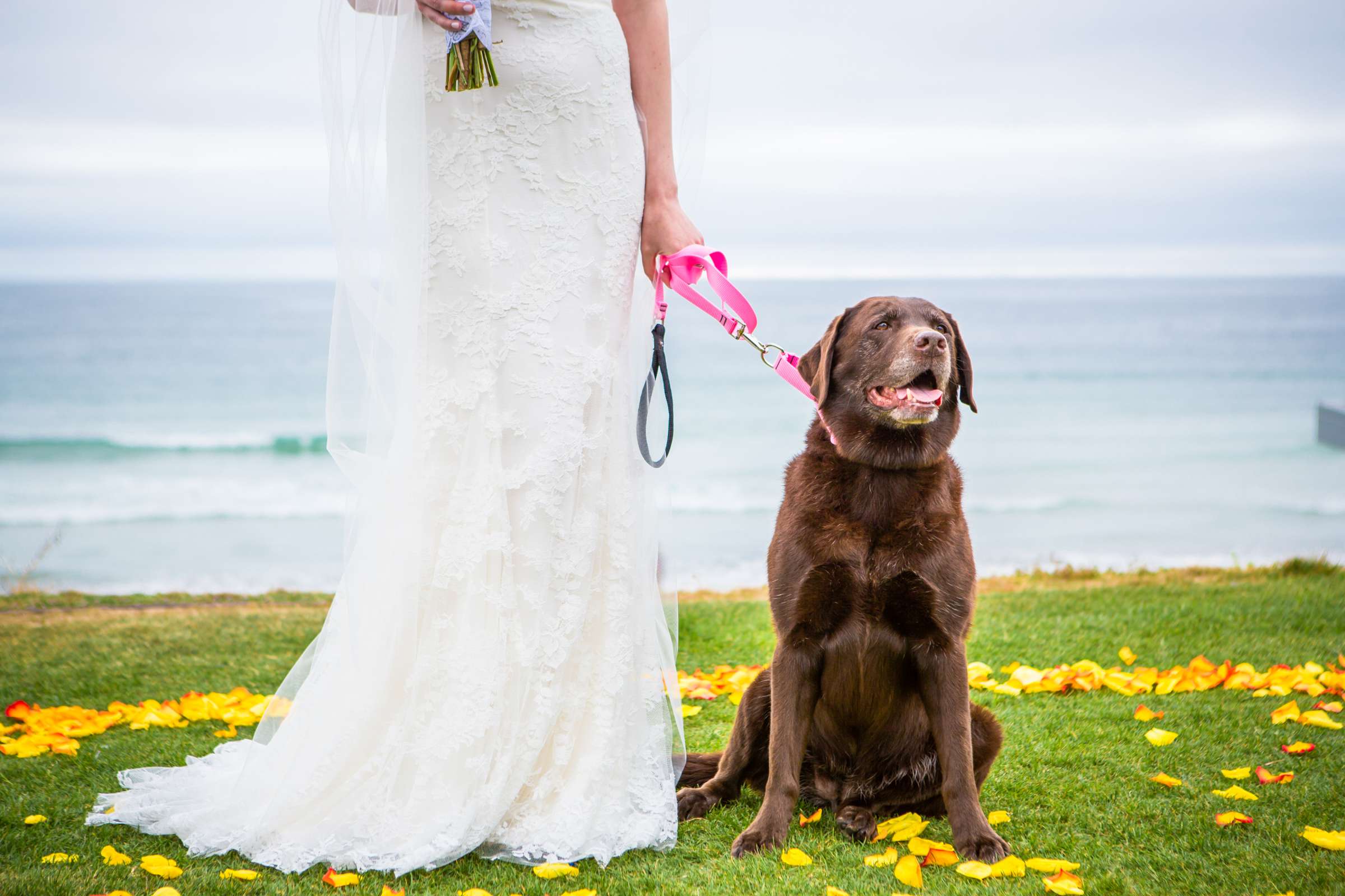 Scripps Seaside Forum Wedding coordinated by Francine Ribeau Events, Shaina and Christopher Wedding Photo #30 by True Photography