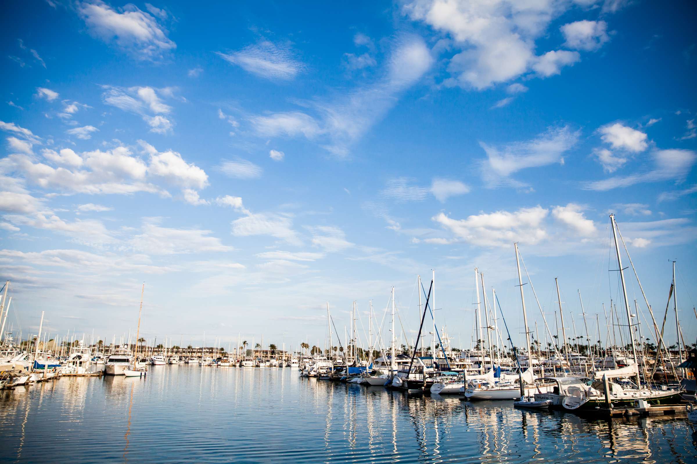 San Diego Yacht Club Wedding coordinated by Amy June Weddings & Events, Sara and Bill Wedding Photo #142 by True Photography