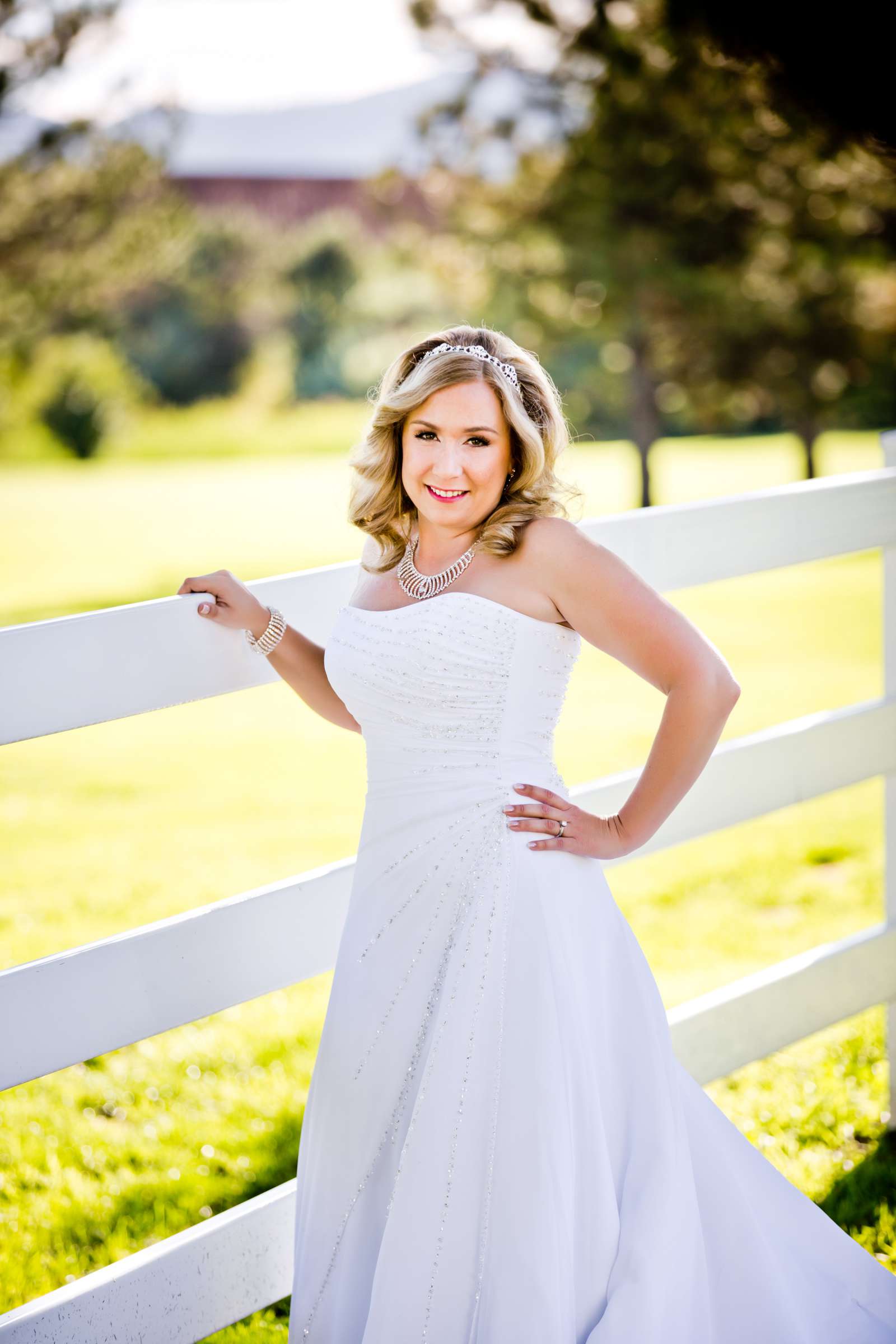 The Barn at Raccoon Creek Wedding, Andrea and Matthew Wedding Photo #163347 by True Photography