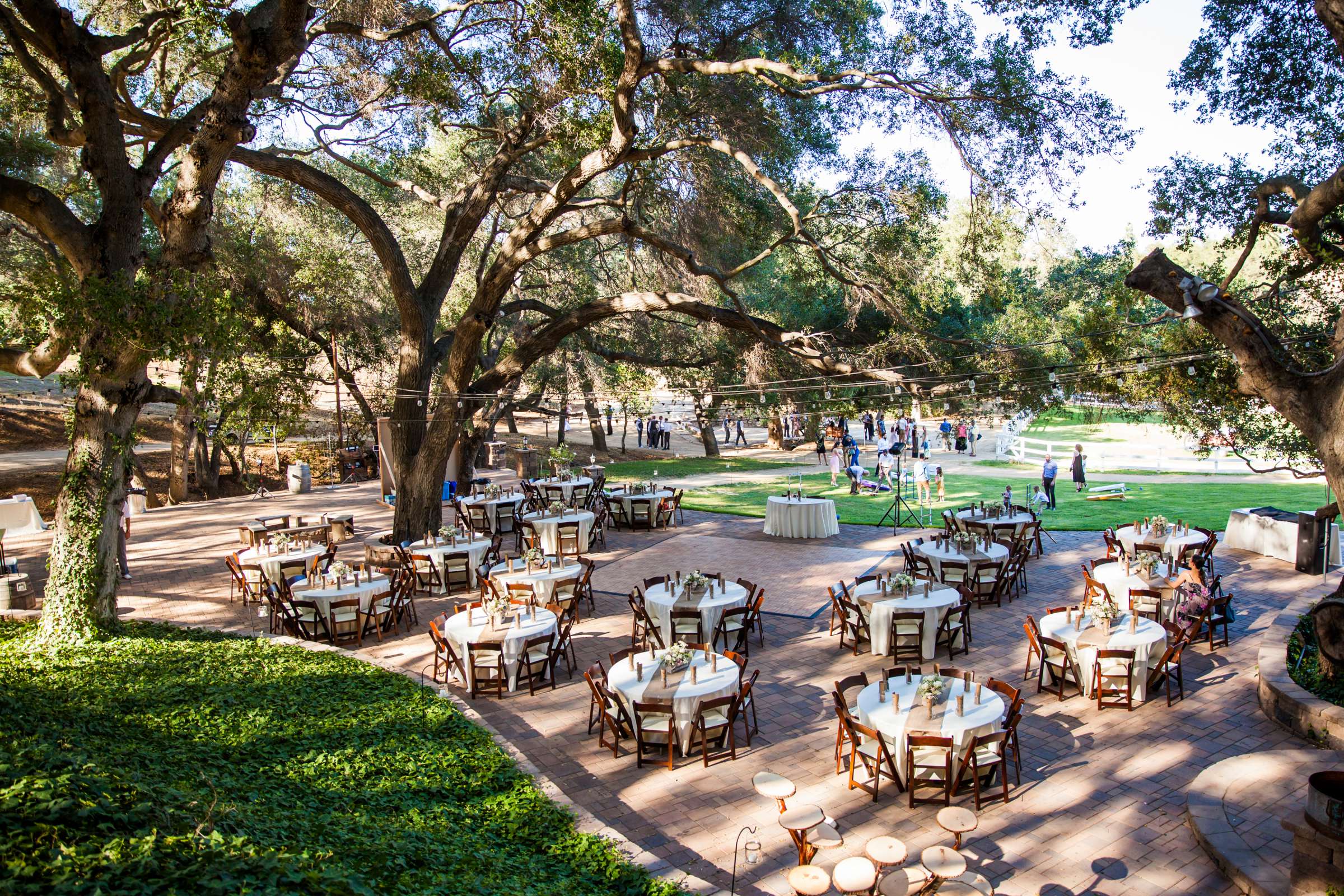 Circle Oak Ranch Weddings Wedding, Dayna and Nathaniel Wedding Photo #48 by True Photography