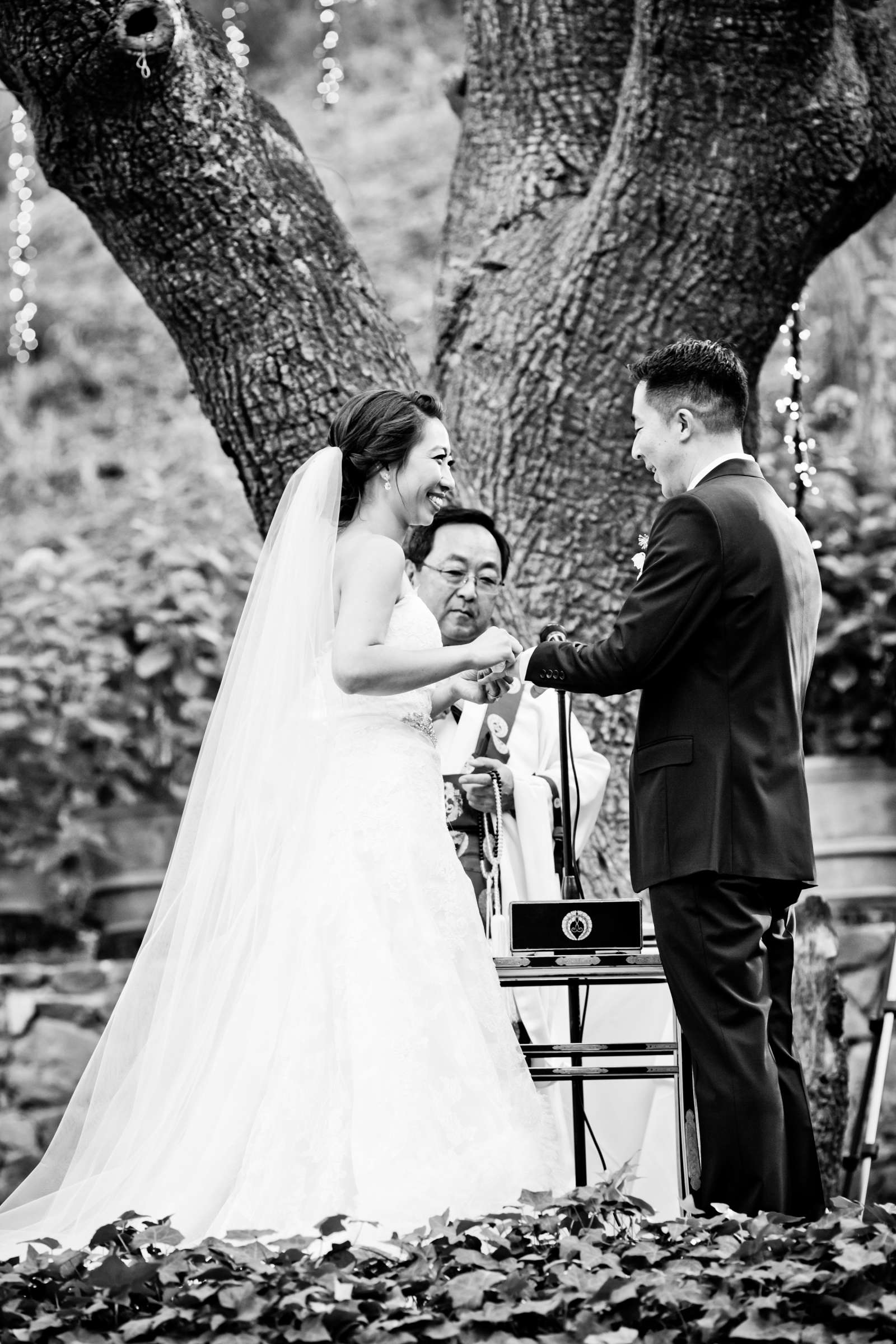 Calamigos Ranch Wedding coordinated by A Touch of Lavender, Tiffany and Gary Wedding Photo #165786 by True Photography