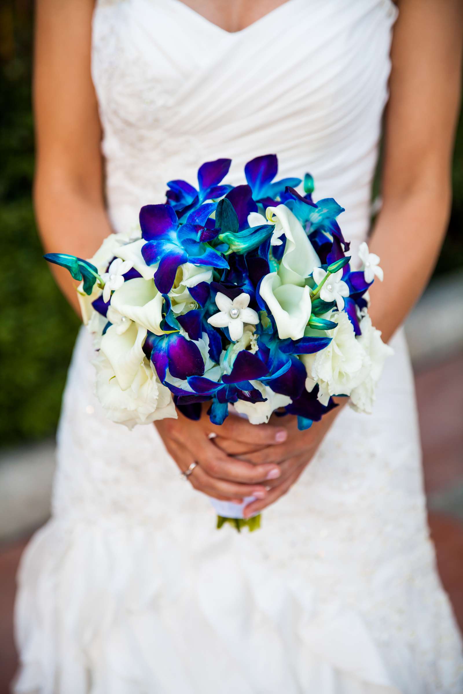 Birch Aquarium at Scripps Wedding, Cami and Zane Wedding Photo #23 by True Photography