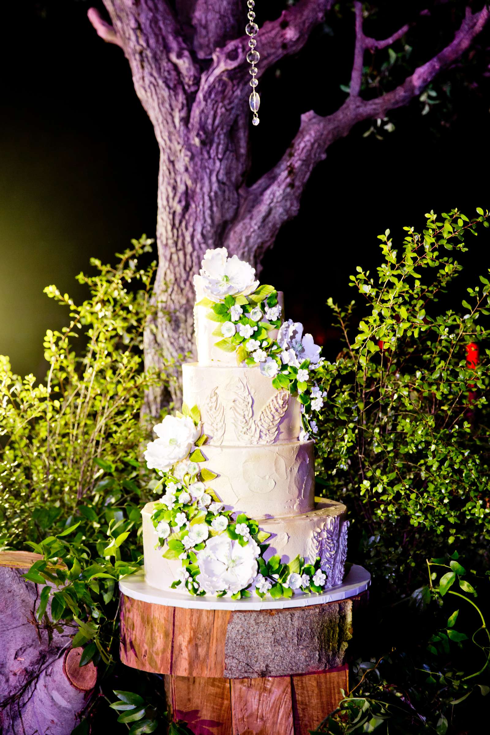 Sowell Estate, Fairbanks Ranc, Rancho Santa Fe Wedding, Allison and Jonathan Wedding Photo #11 by True Photography