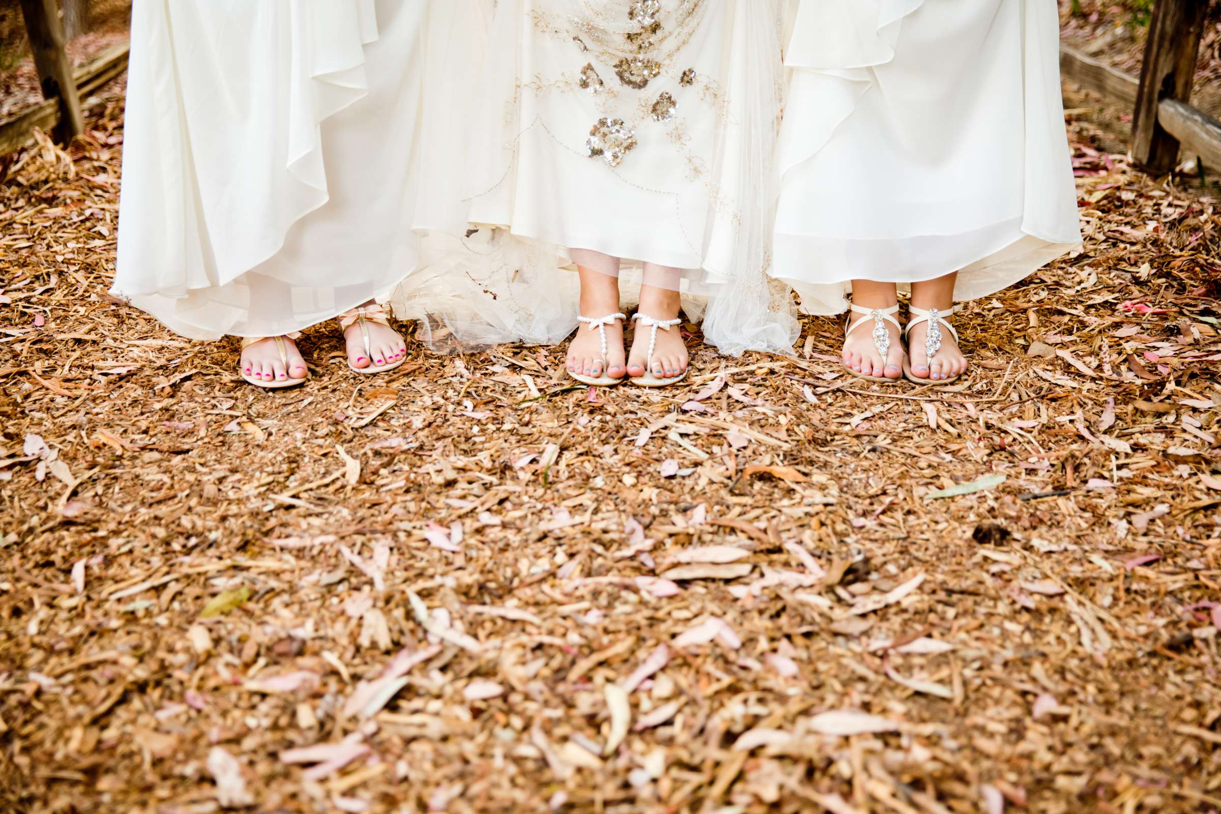 Sowell Estate, Fairbanks Ranc, Rancho Santa Fe Wedding, Allison and Jonathan Wedding Photo #20 by True Photography