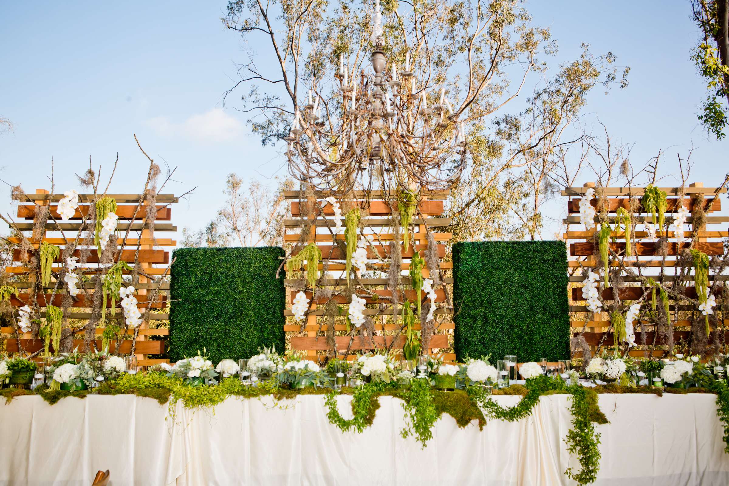 Sowell Estate, Fairbanks Ranc, Rancho Santa Fe Wedding, Allison and Jonathan Wedding Photo #78 by True Photography