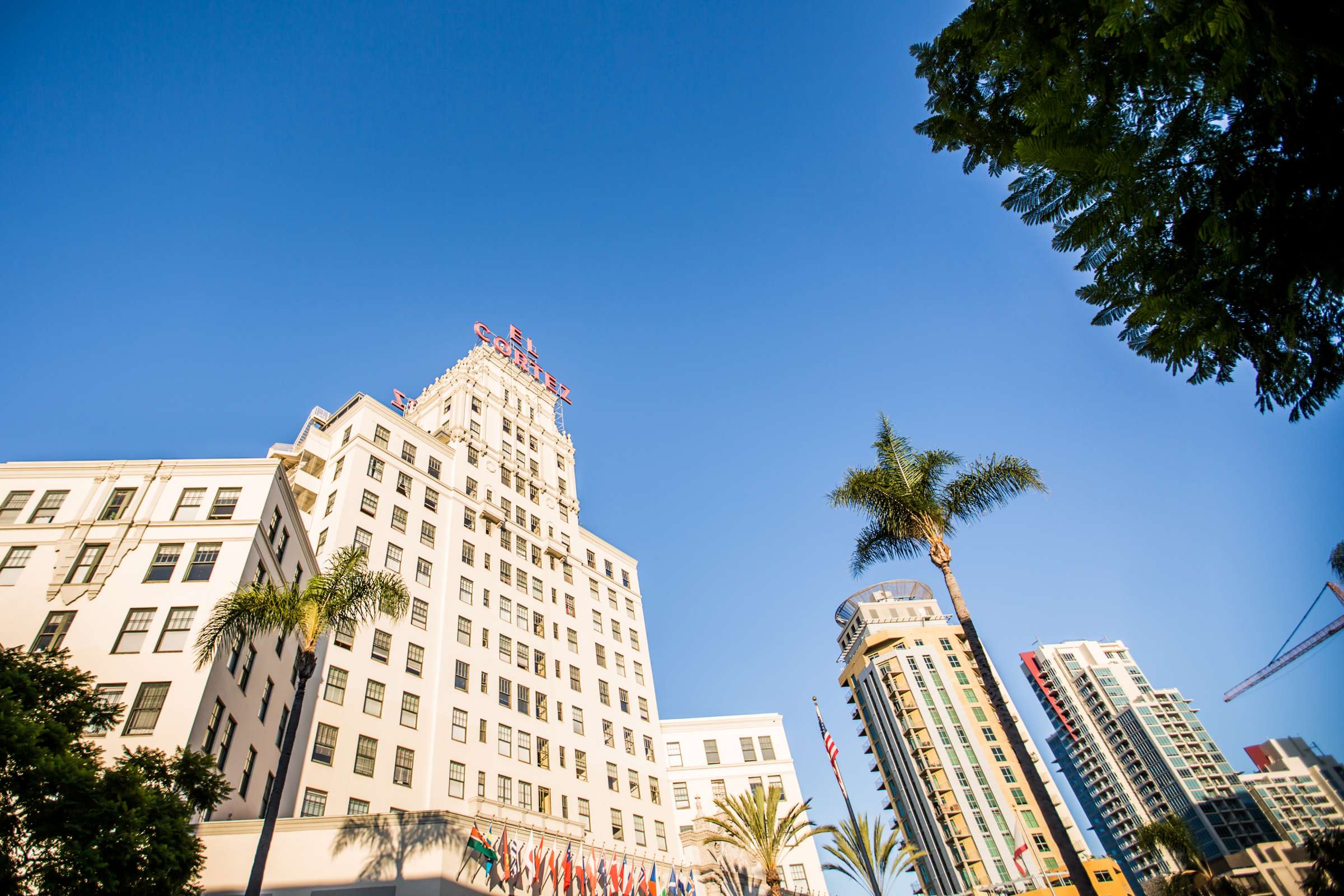 El Cortez Wedding, Macey and Alex Wedding Photo #16 by True Photography