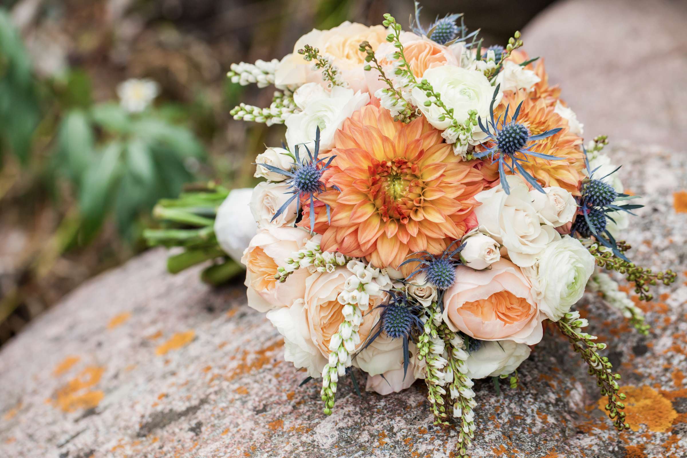 Donovan Pavilion Wedding coordinated by L Elizabeth Events, Anna and Son Wedding Photo #80 by True Photography