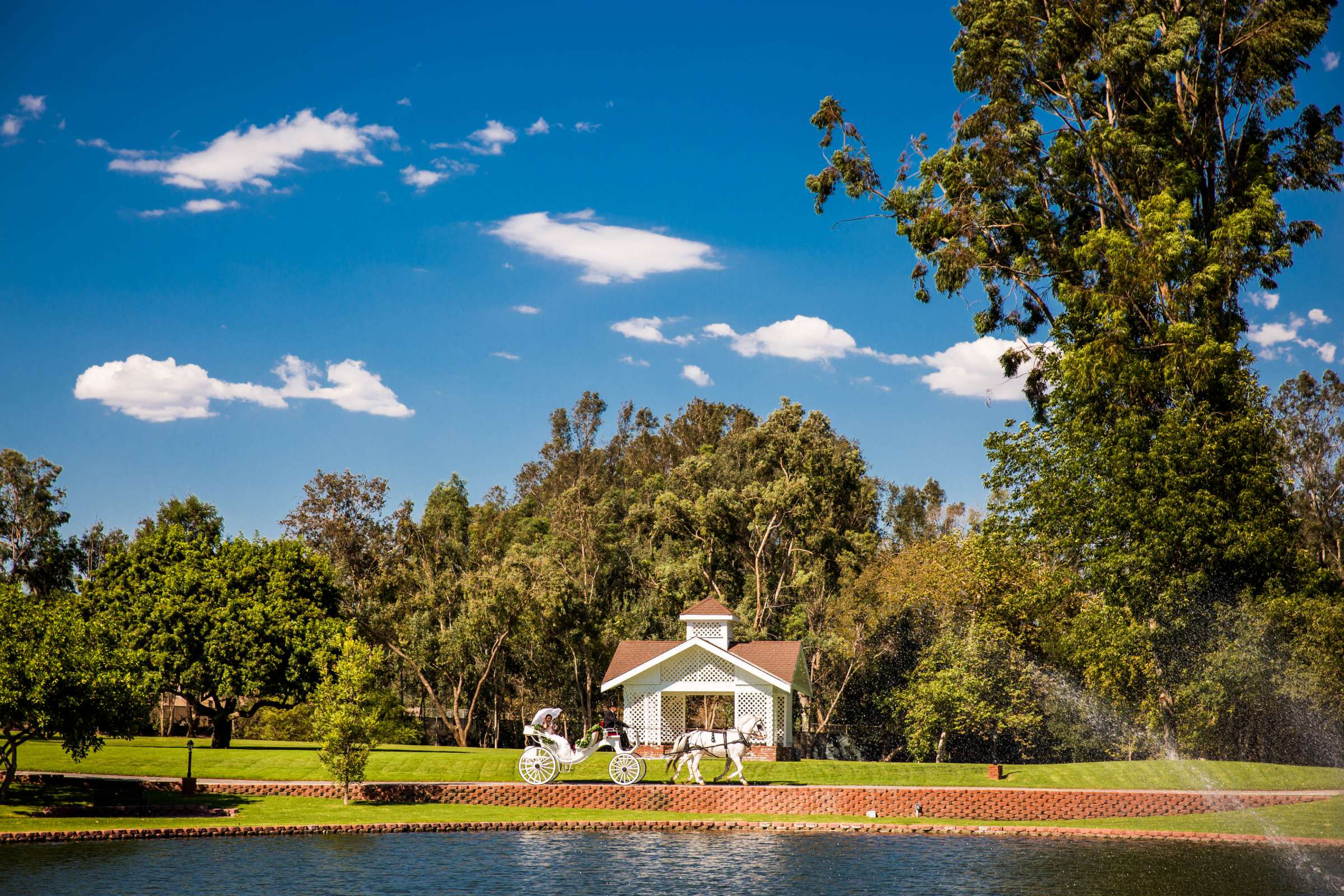 Grand Tradition Estate Wedding coordinated by Grand Tradition Estate, Jade and Channing Wedding Photo #171984 by True Photography