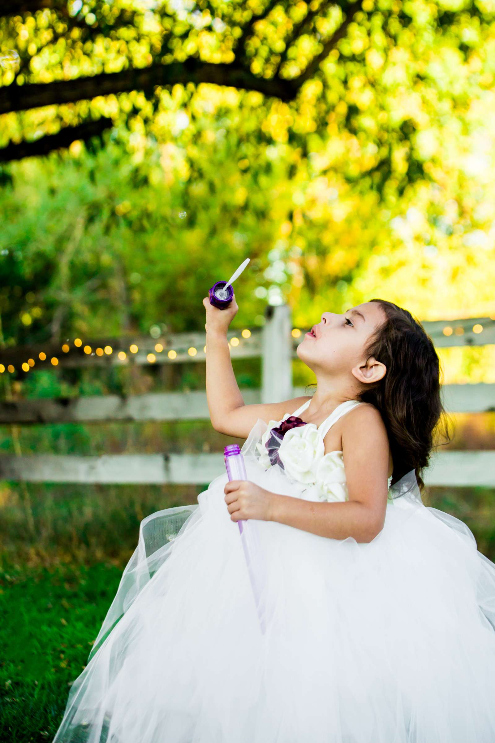 Ralstons Crossing Event Center Wedding, Brittany and Tilden Wedding Photo #174830 by True Photography