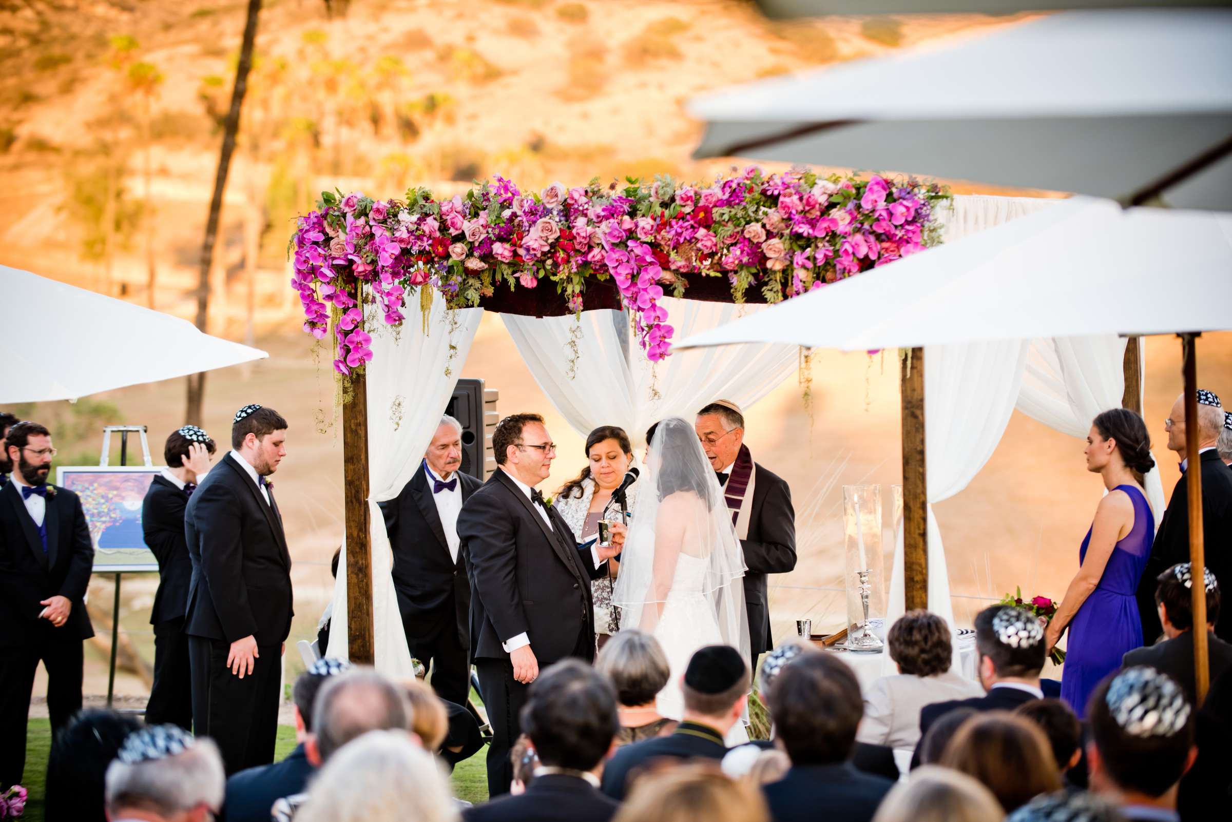 Safari Park Wedding coordinated by Events by Marsjana, Neola and Warren Wedding Photo #61 by True Photography