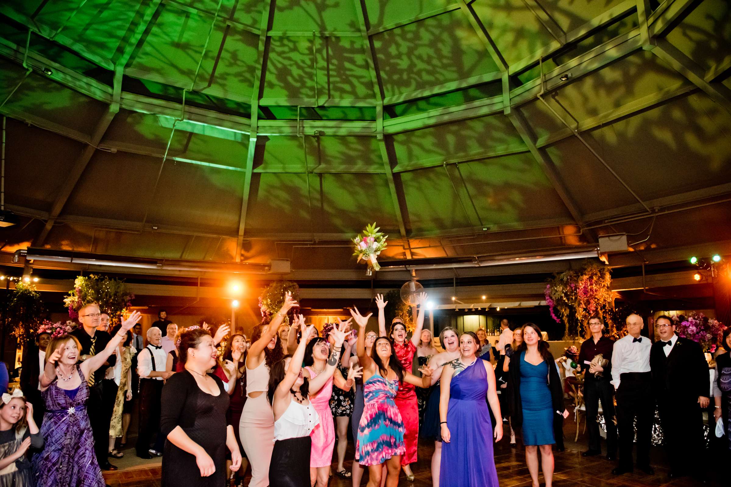 Safari Park Wedding coordinated by Events by Marsjana, Neola and Warren Wedding Photo #104 by True Photography