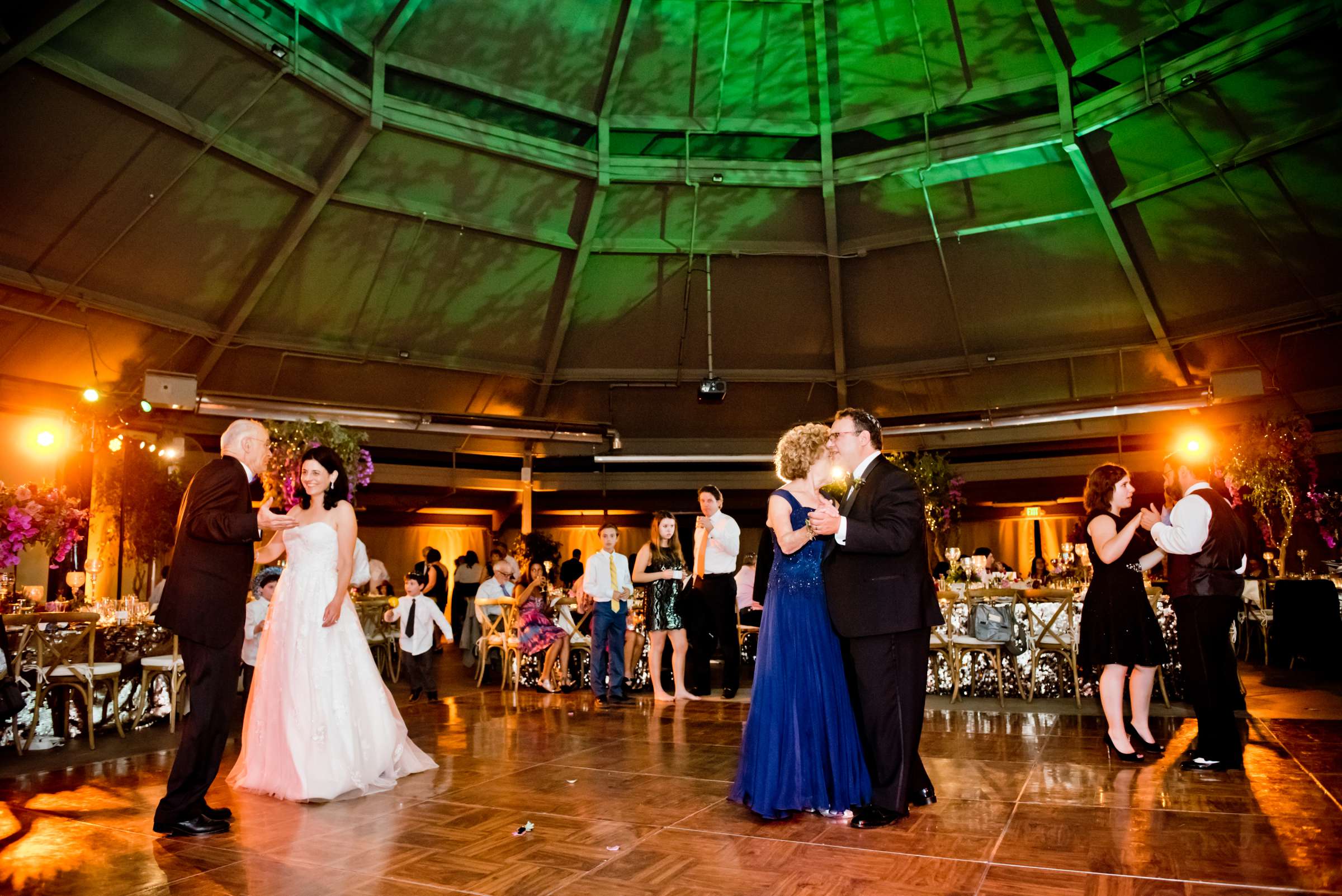 Safari Park Wedding coordinated by Events by Marsjana, Neola and Warren Wedding Photo #110 by True Photography