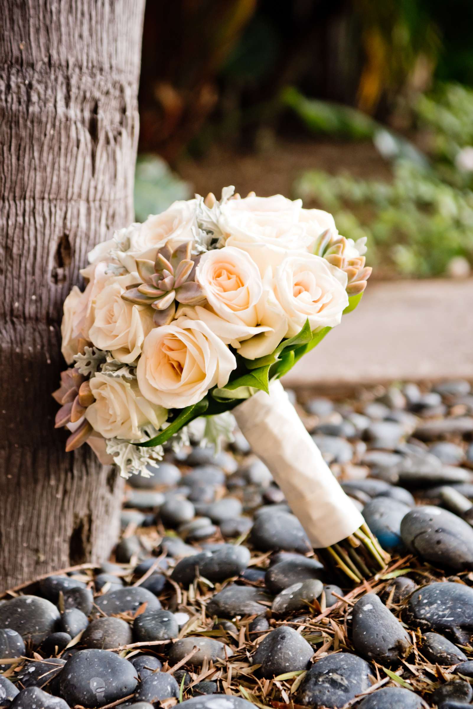 Ocean View Room Wedding, Nicole and River Wedding Photo #185129 by True Photography