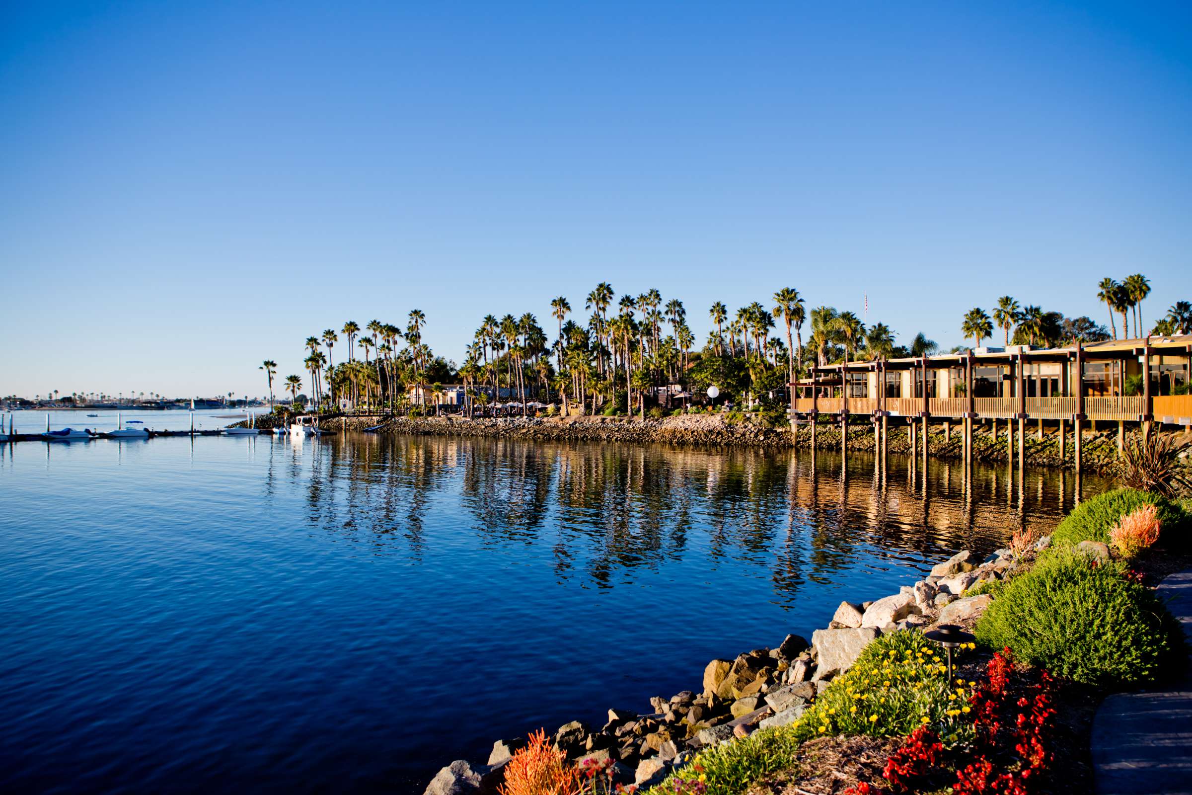 Paradise Point Wedding coordinated by Love Marks the Spot, Brittany and Adam Wedding Photo #168 by True Photography