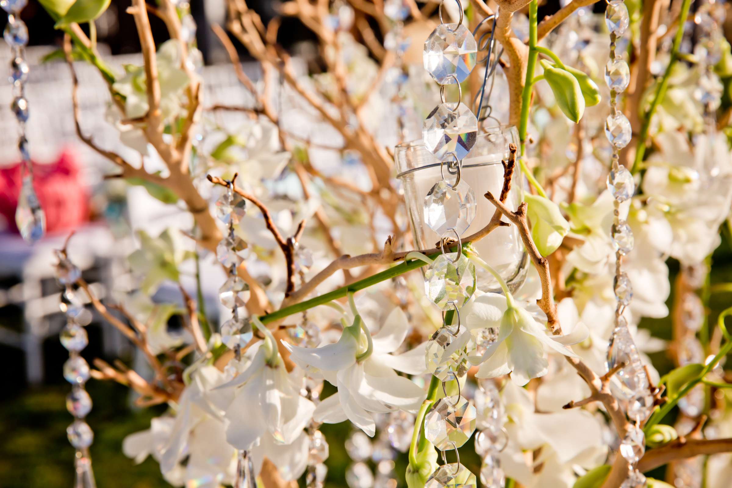 Scripps Seaside Forum Wedding, Emilia and Cameron Wedding Photo #187246 by True Photography