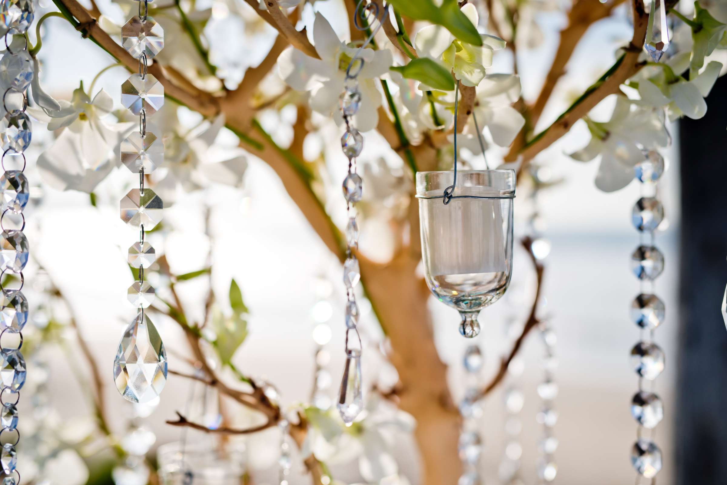 Scripps Seaside Forum Wedding, Emilia and Cameron Wedding Photo #187260 by True Photography