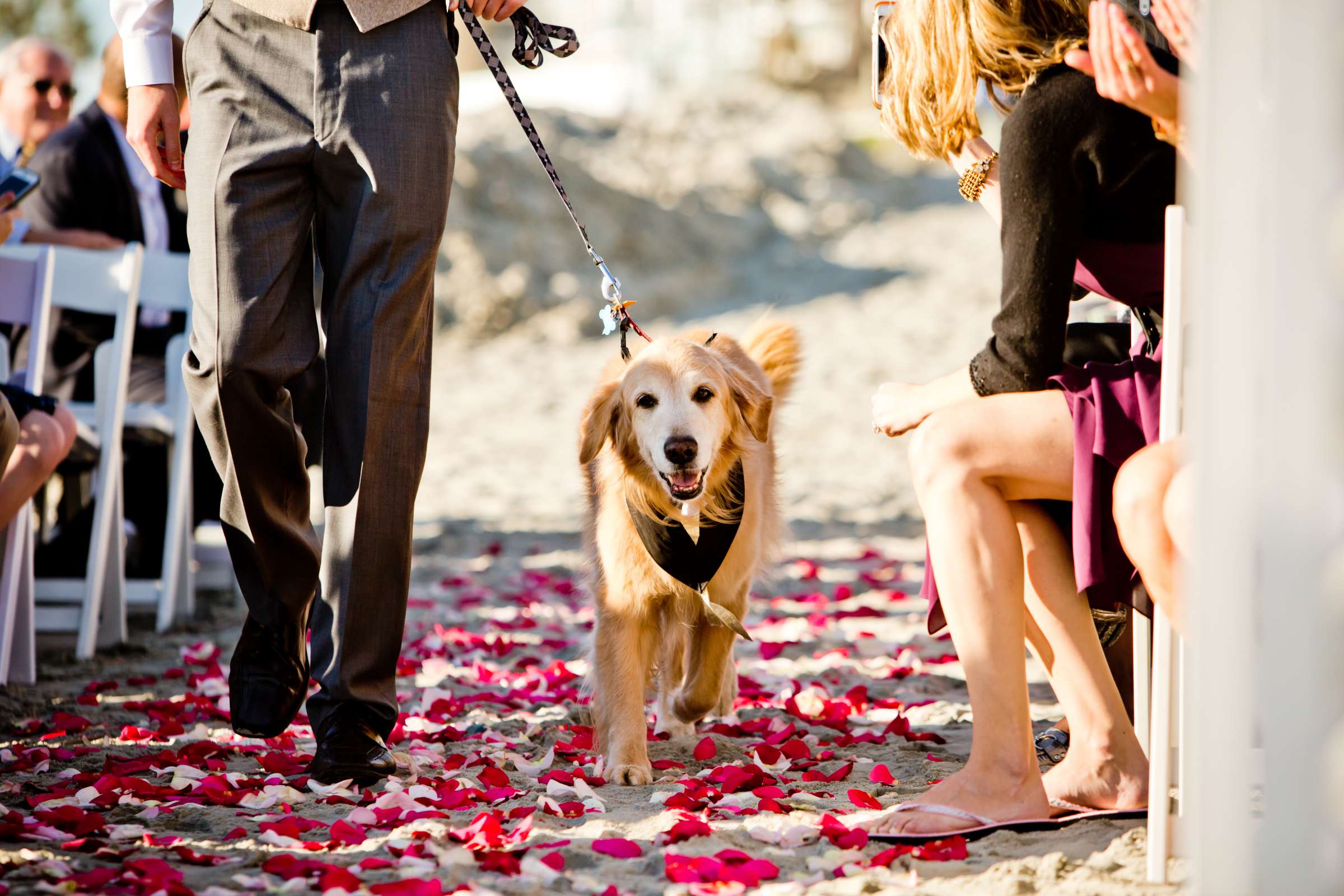 Coronado Community Center Wedding coordinated by InStyle Event Planning, Christy and Stephen Wedding Photo #189555 by True Photography