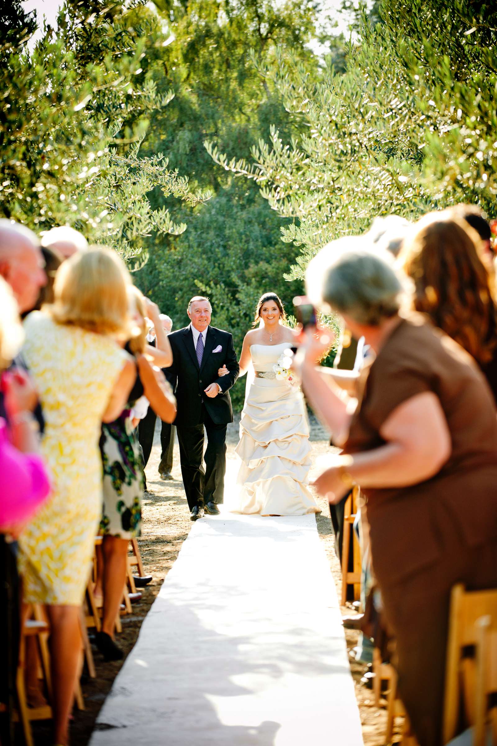 Private Residence Wedding, Danielle and Bryan Wedding Photo #190288 by True Photography