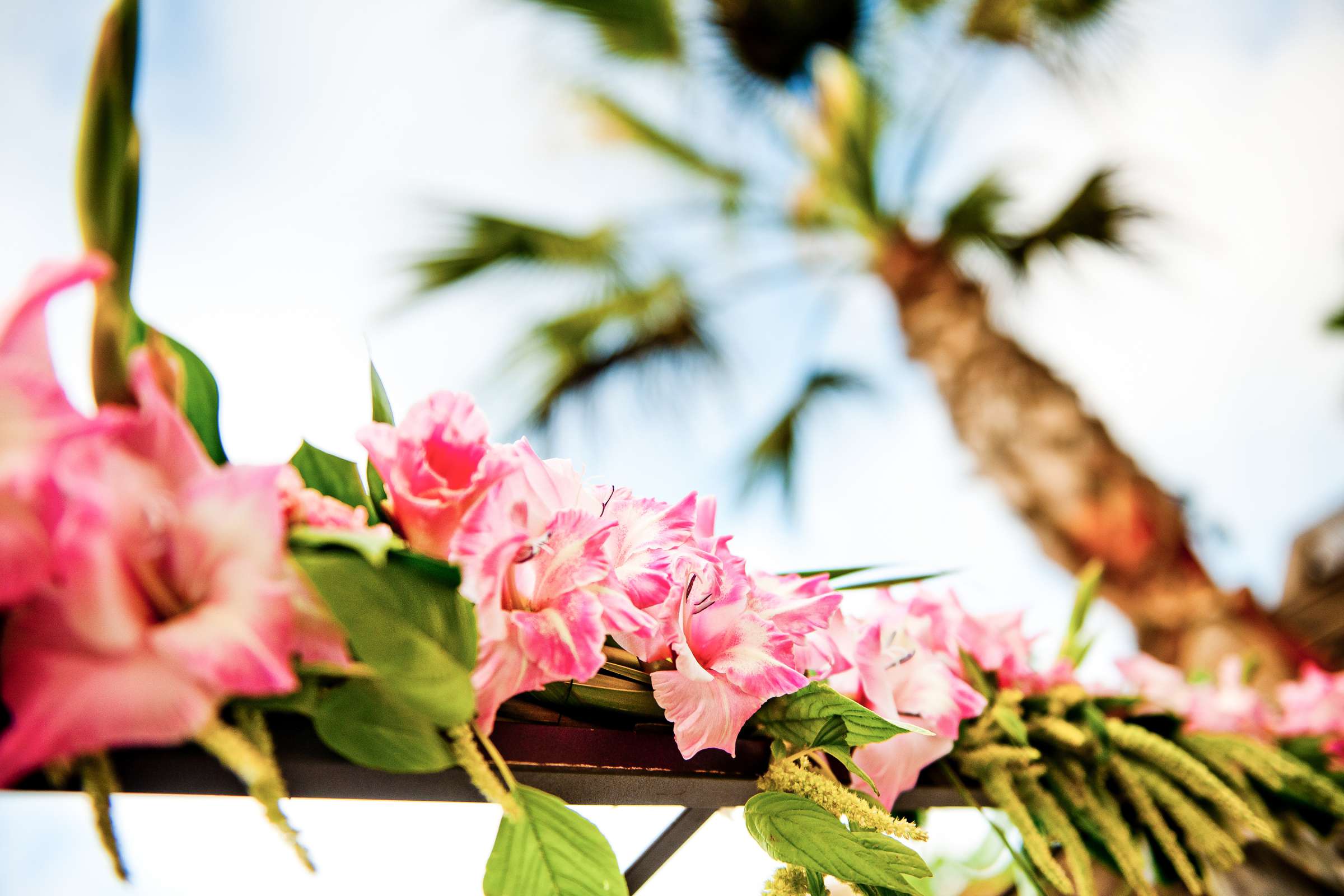 Hyatt Regency Mission Bay Wedding coordinated by Serenity Weddings, Alison and Dave Wedding Photo #190453 by True Photography