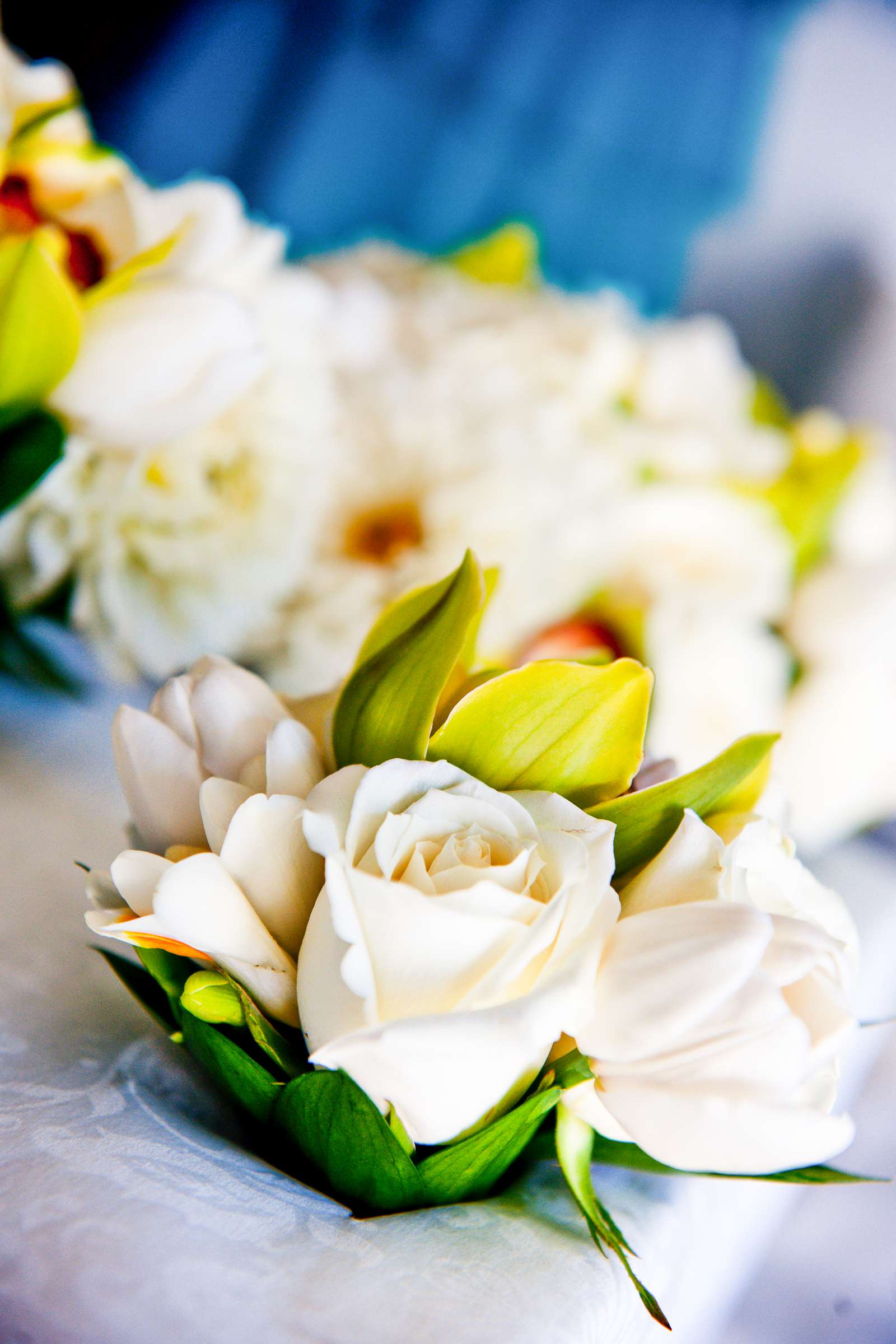 Tom Ham's Lighthouse Wedding, Deanna and Craig Wedding Photo #191547 by True Photography