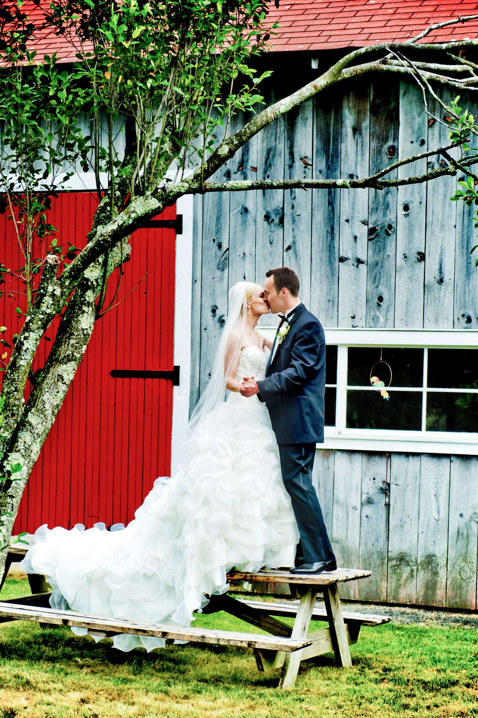 Wedding, Annie and Karl Wedding Photo #192937 by True Photography