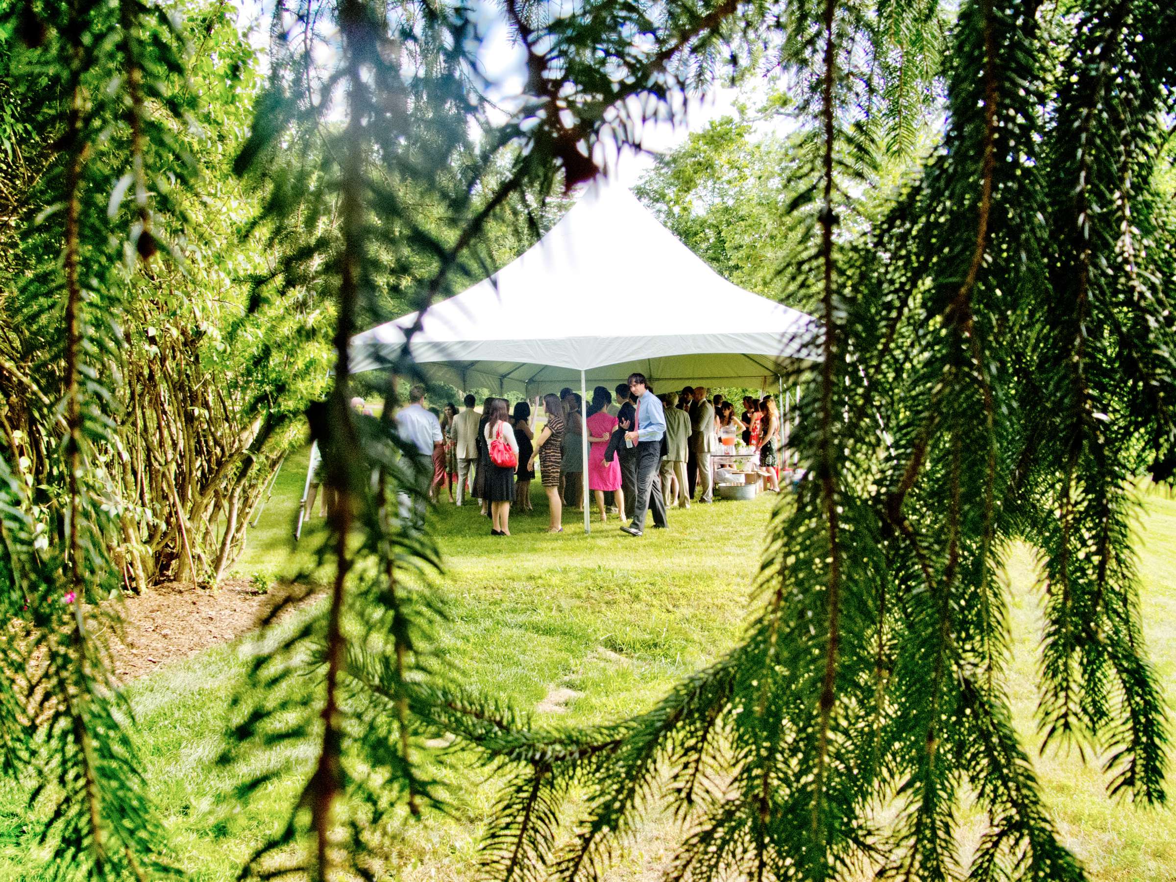 Wedding, Annie and Karl Wedding Photo #193071 by True Photography