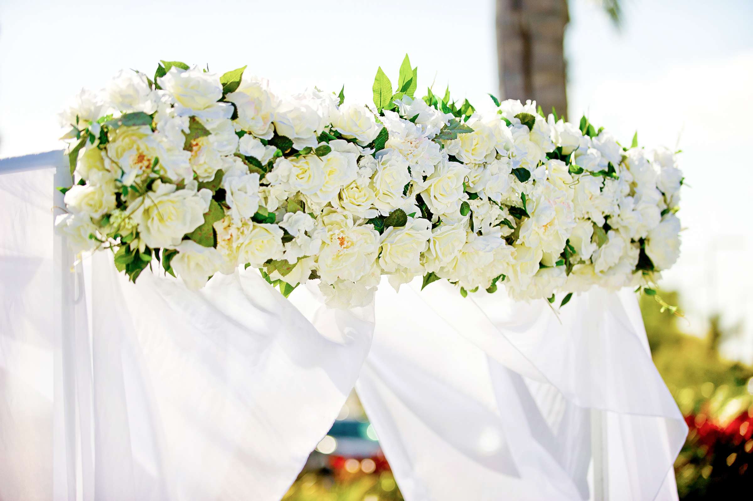 Sheraton Carlsbad Resort and Spa Wedding coordinated by I Do Weddings, Karen and Duane Wedding Photo #15 by True Photography