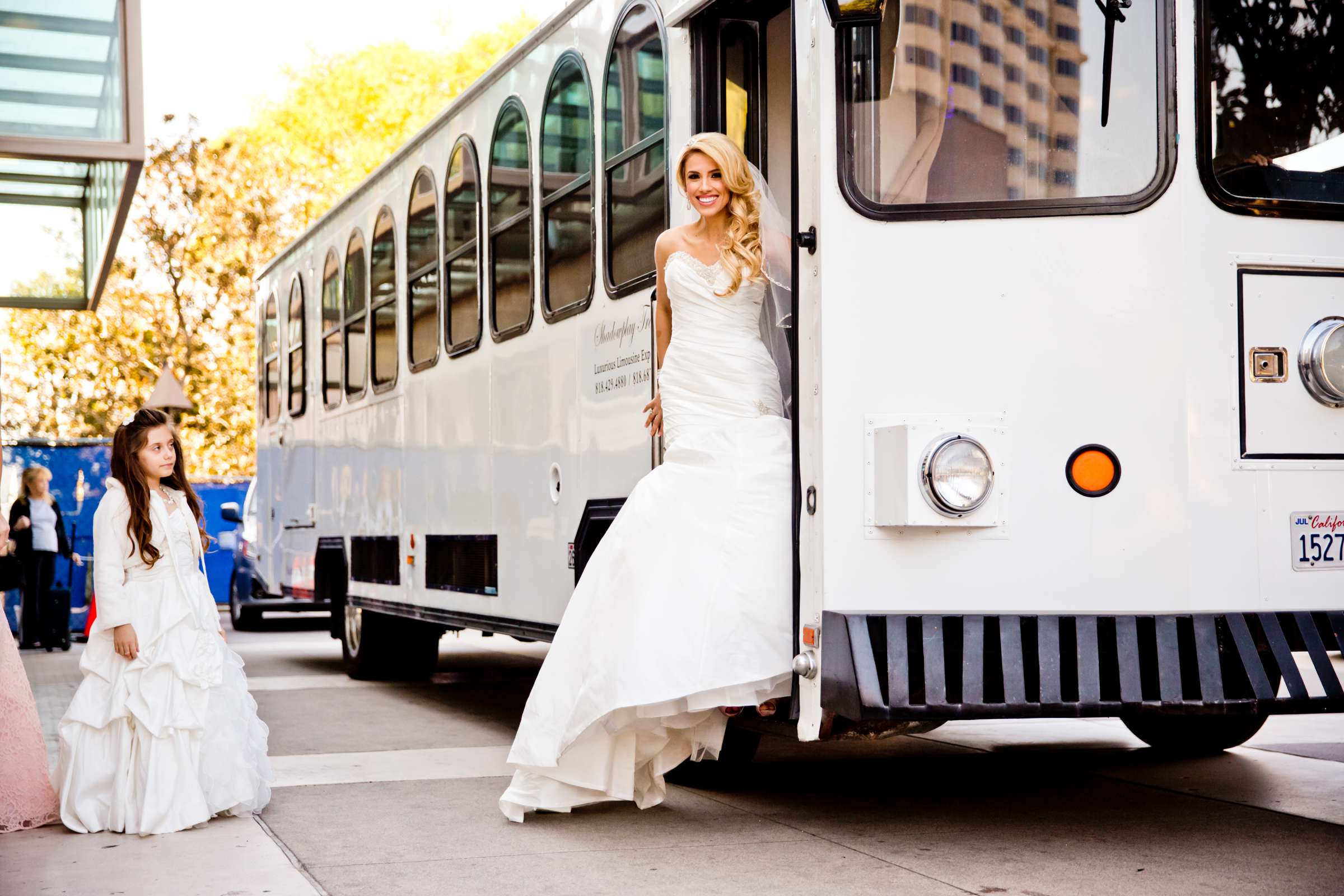 Wedding, Breanna and David Wedding Photo #195125 by True Photography