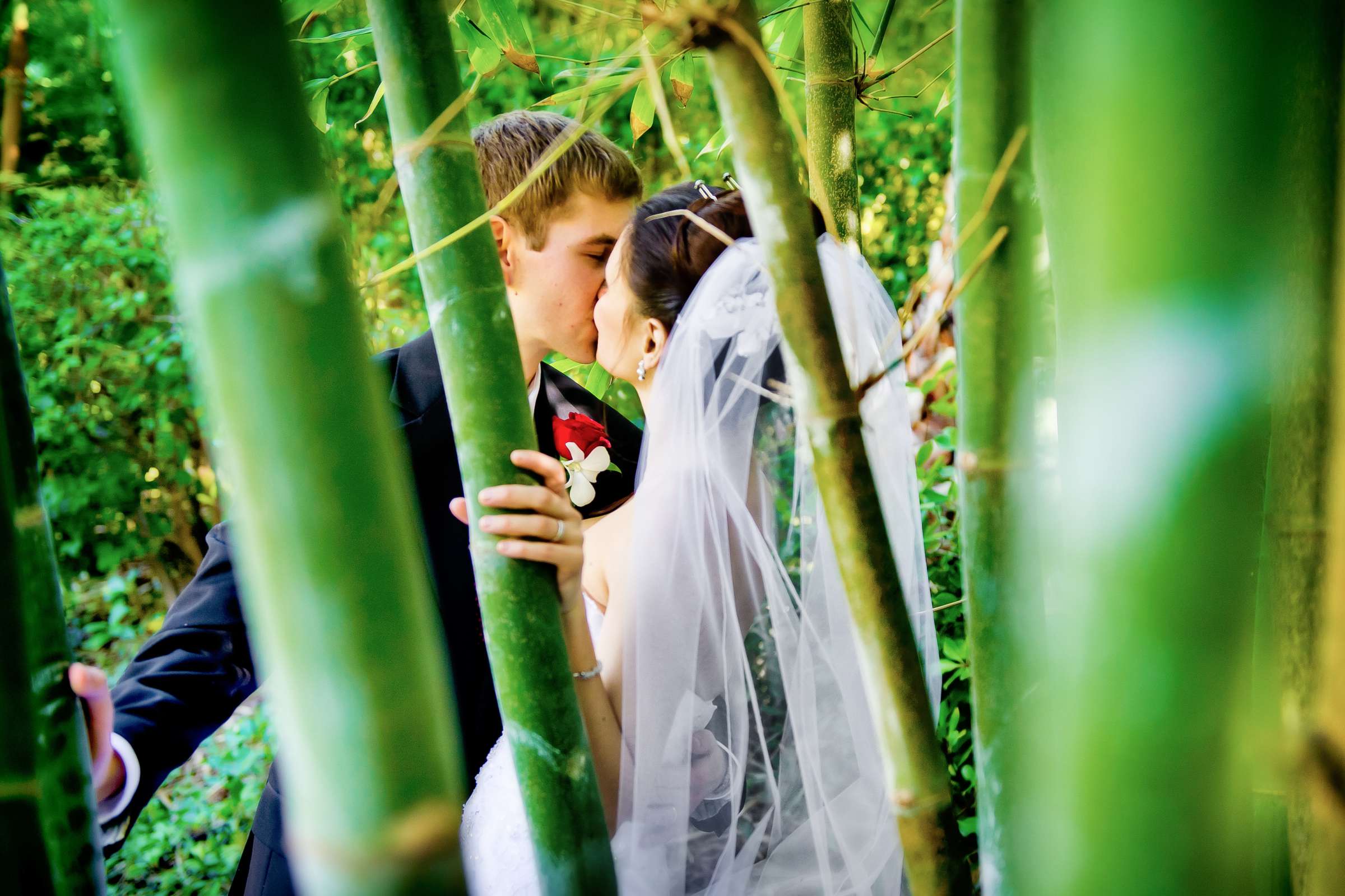 Grand Tradition Estate Wedding, Irene and Christopher Wedding Photo #195796 by True Photography