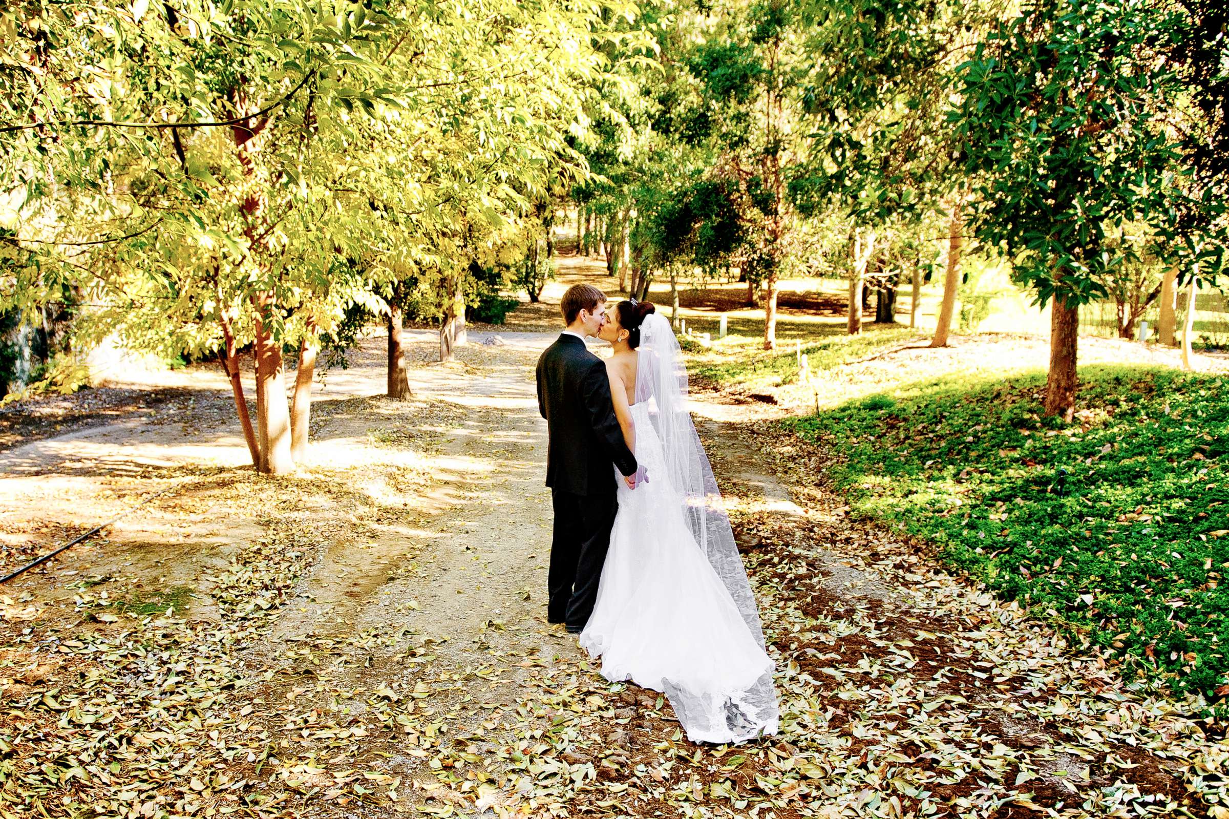 Grand Tradition Estate Wedding, Irene and Christopher Wedding Photo #195815 by True Photography