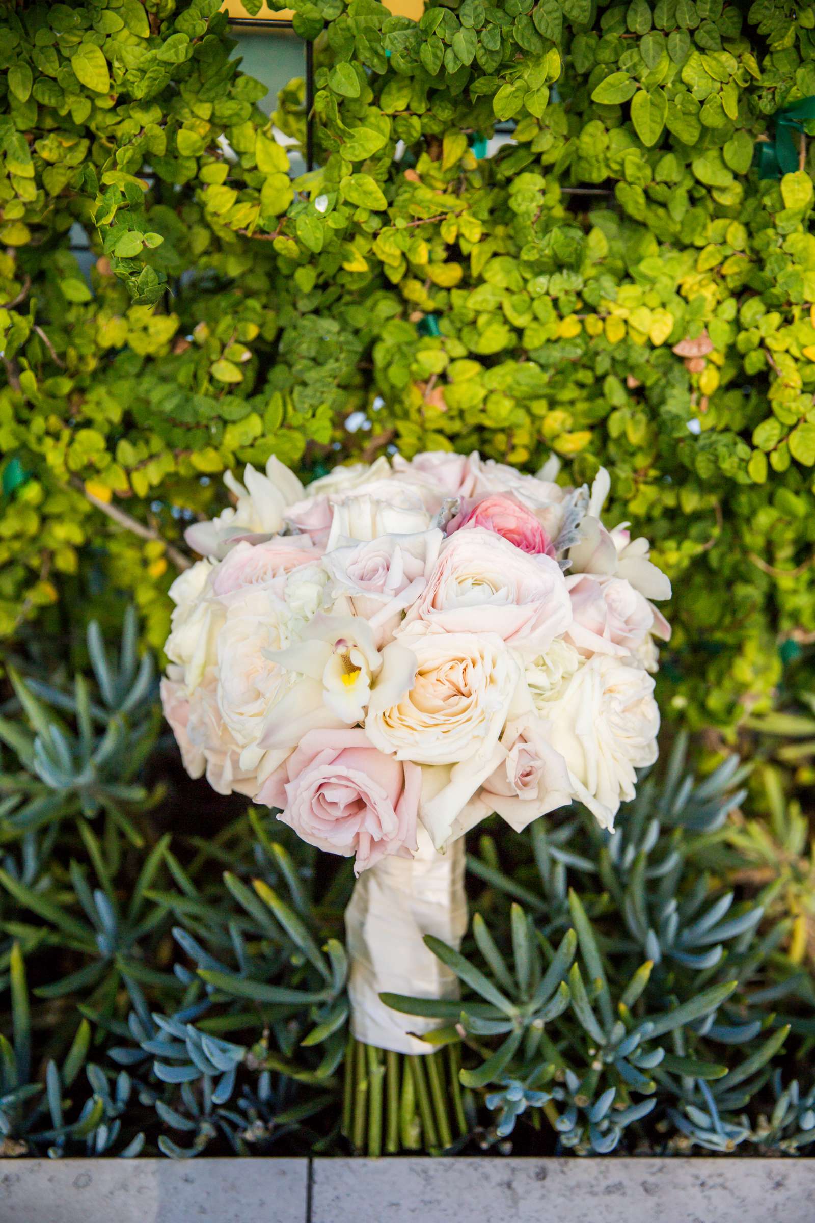 The Westgate Hotel Wedding, Jessica and Nima Wedding Photo #197179 by True Photography