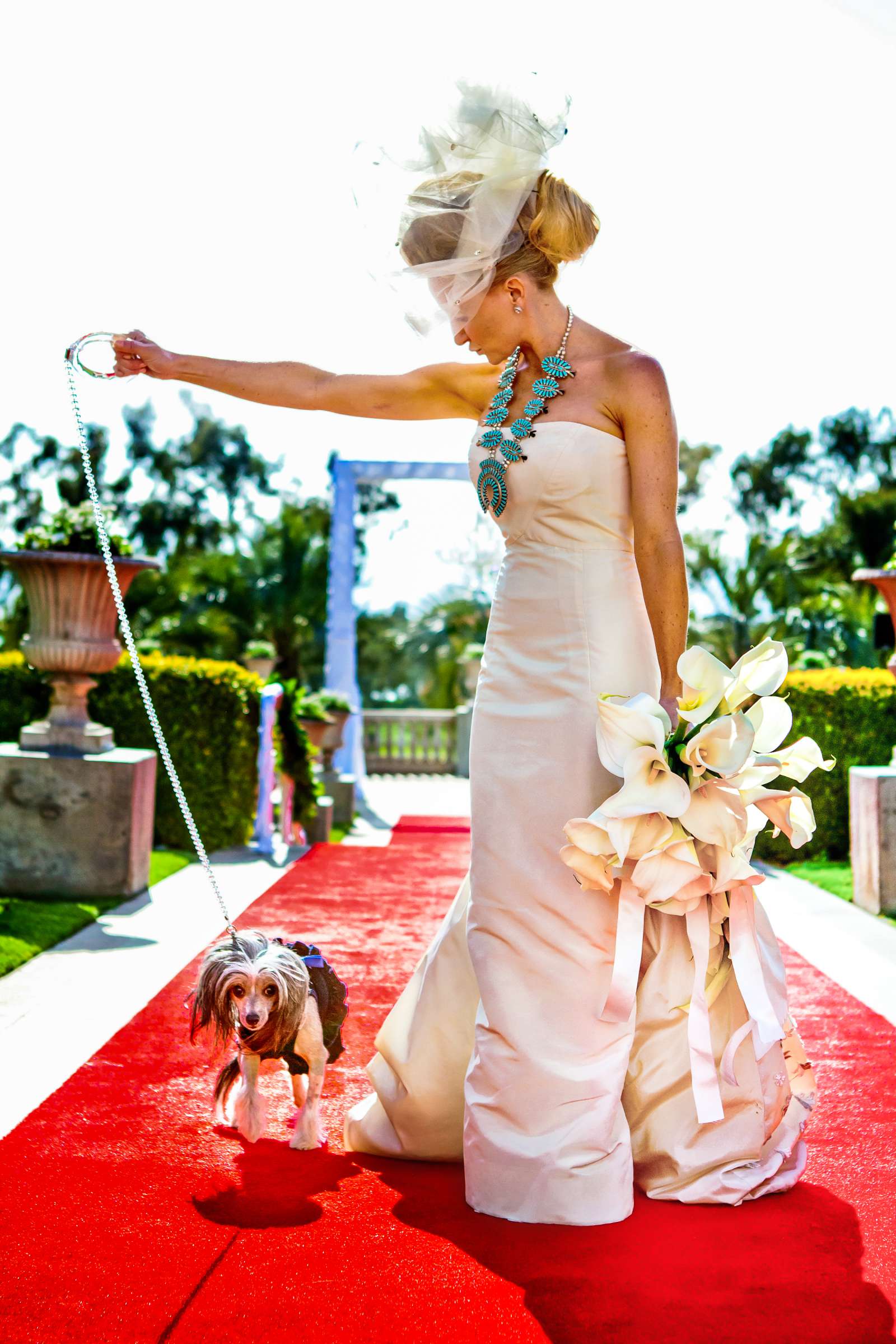 Hilton La Jolla Torrey Pines Wedding coordinated by The Best Wedding For You, Zoe and Jeff Wedding Photo #198044 by True Photography